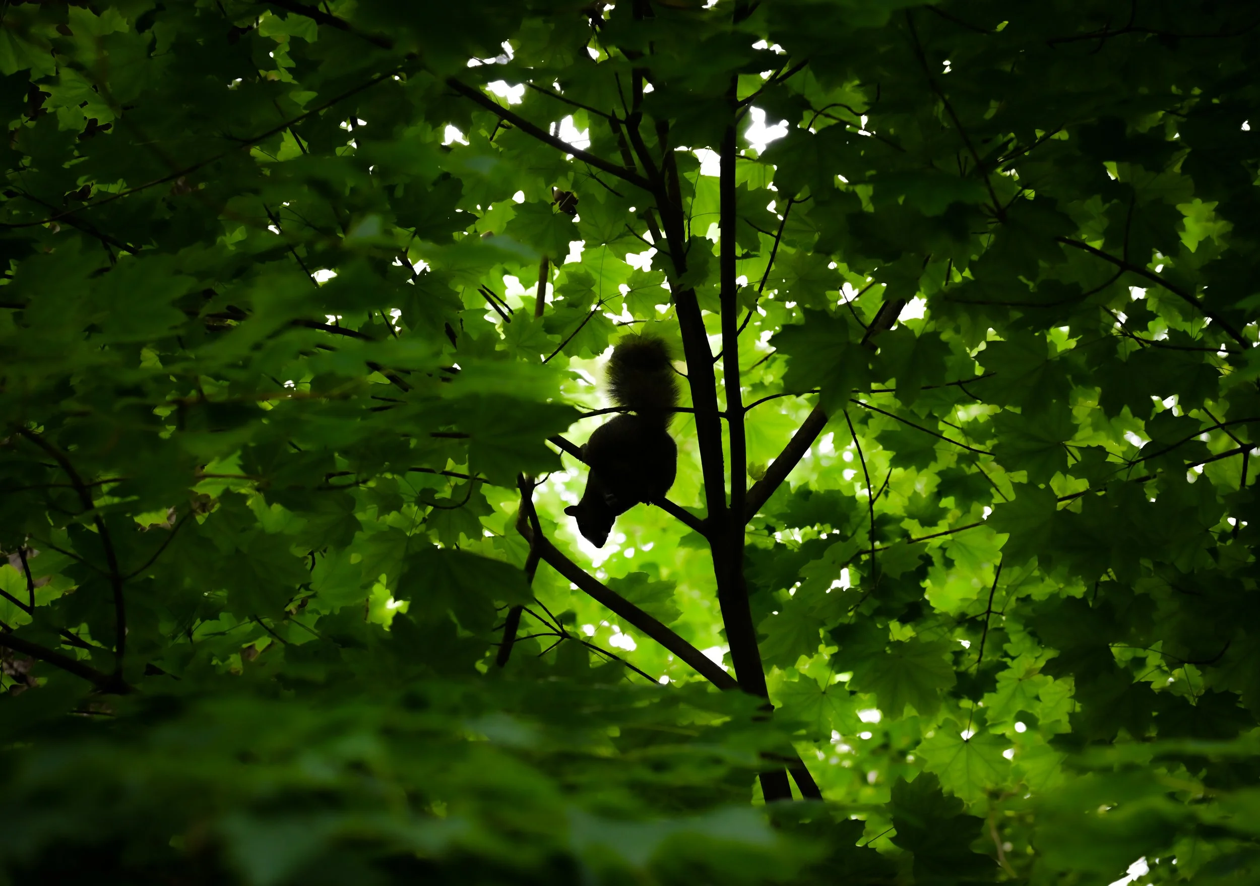 DSC_0104-2.jpg