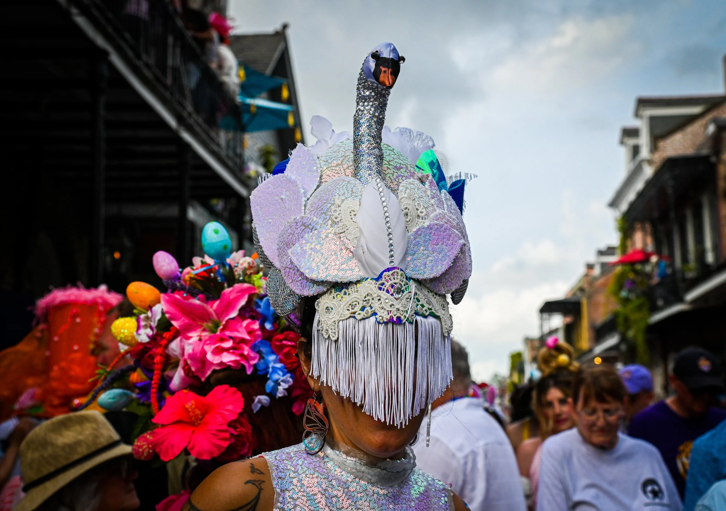 DSC_3339.jpg