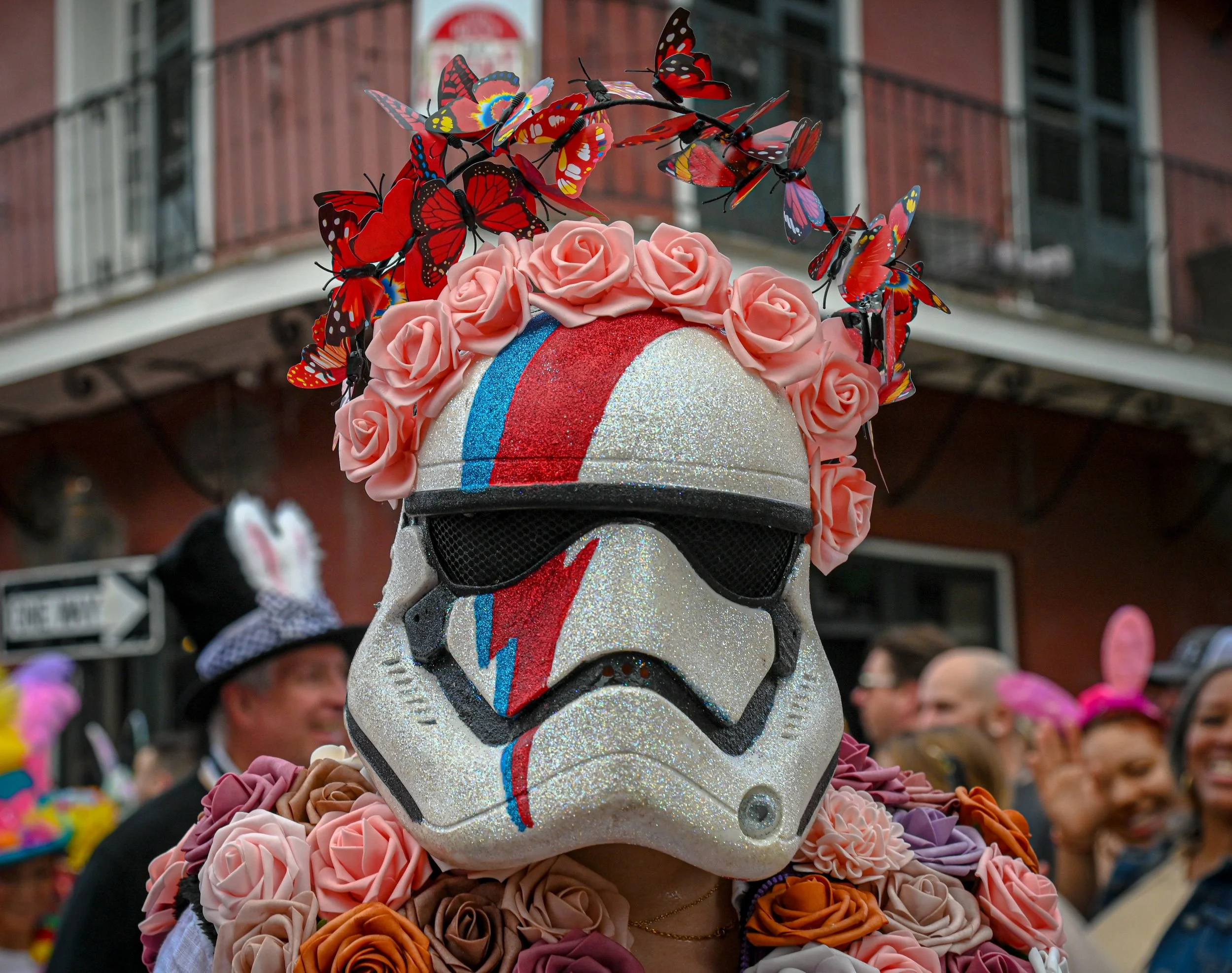 DSC_3368.jpg