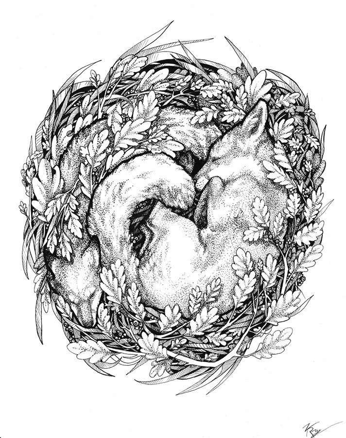 nesting-foxes.jpg