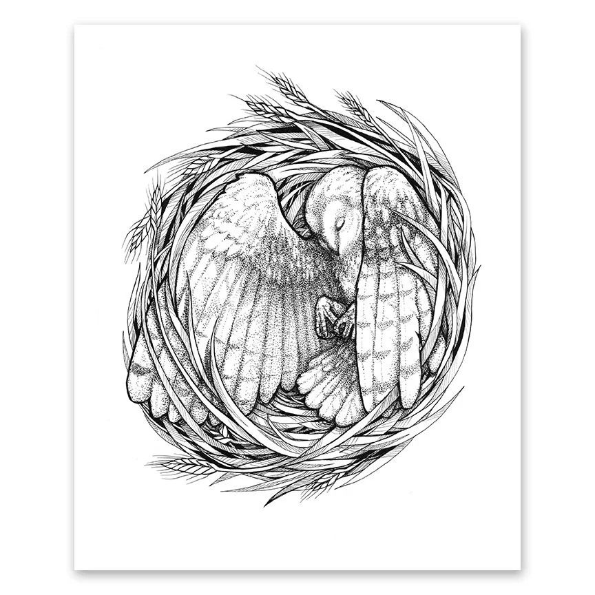 Nesters - Owl - 8x10 print