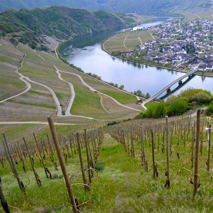 Mosel.JPG