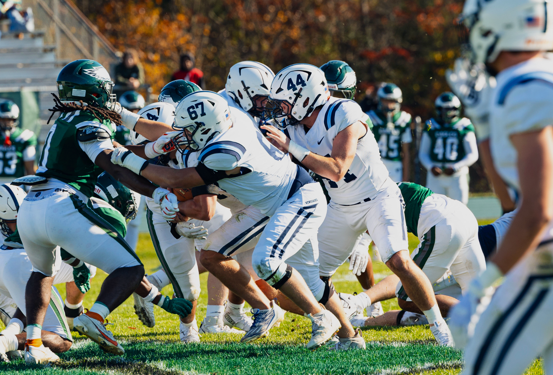 American football players in white and green uniforms engaged in a game on a grassy field, with a player holding the football tackled by several opponents. Fall foliage is visible in the background.