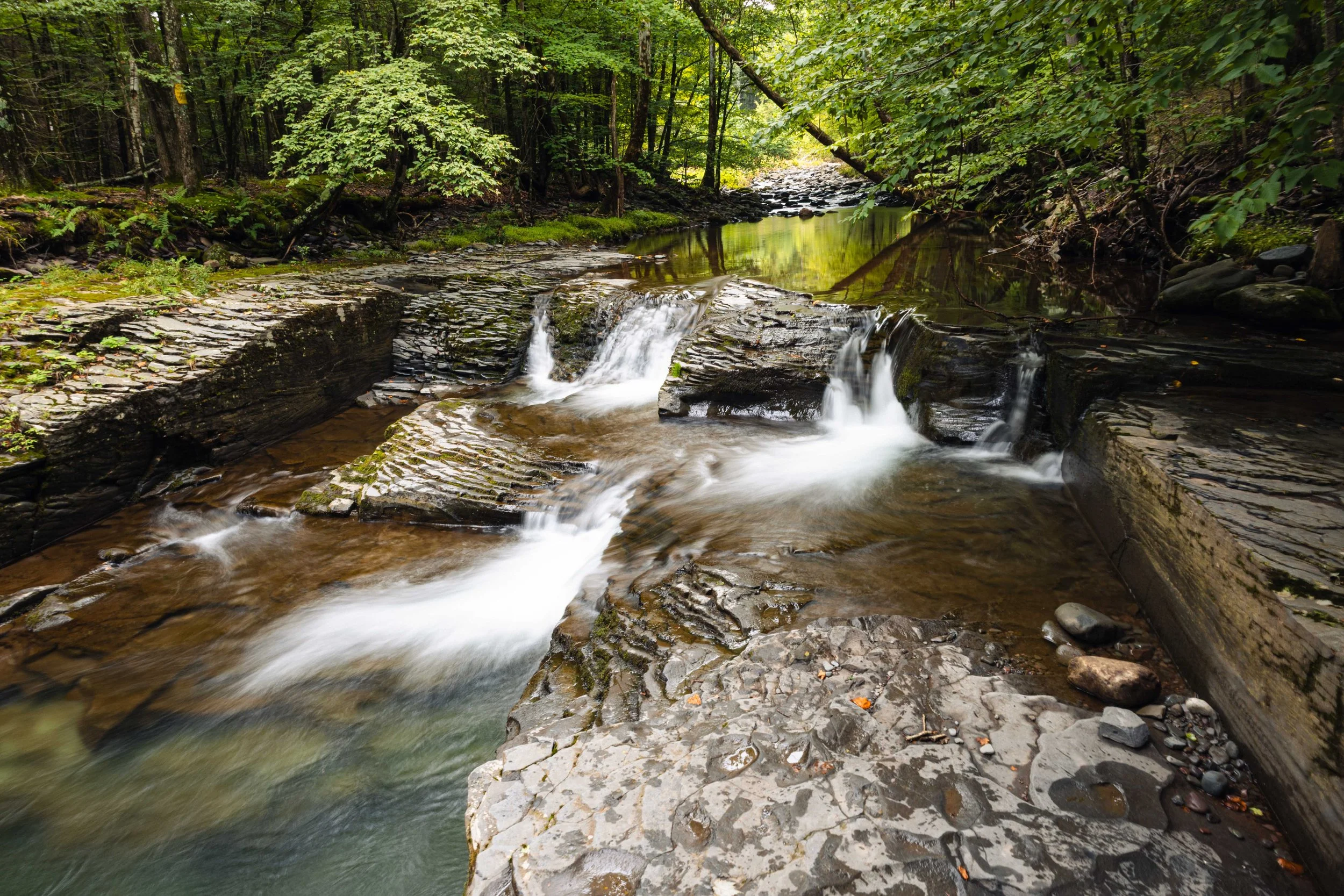 A serene forest scene with a small rocky waterfall flowing into a calm creek, surrounded by lush green trees and foliage.