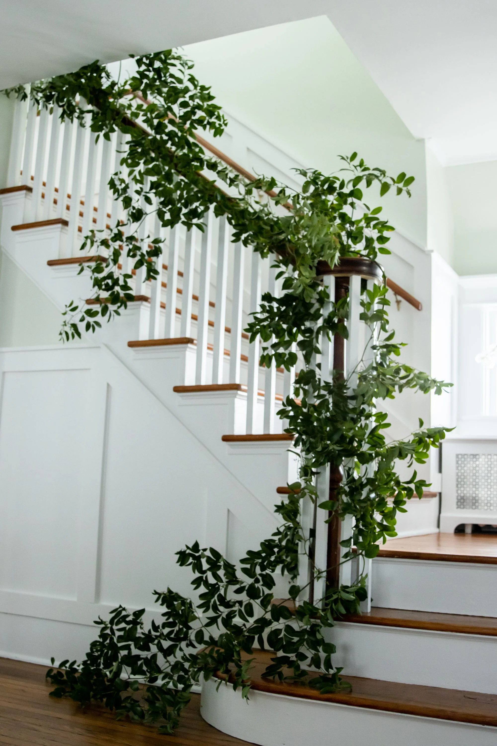 Indoor staircase with wooden steps and white painted walls, decorated with trailing green houseplant.