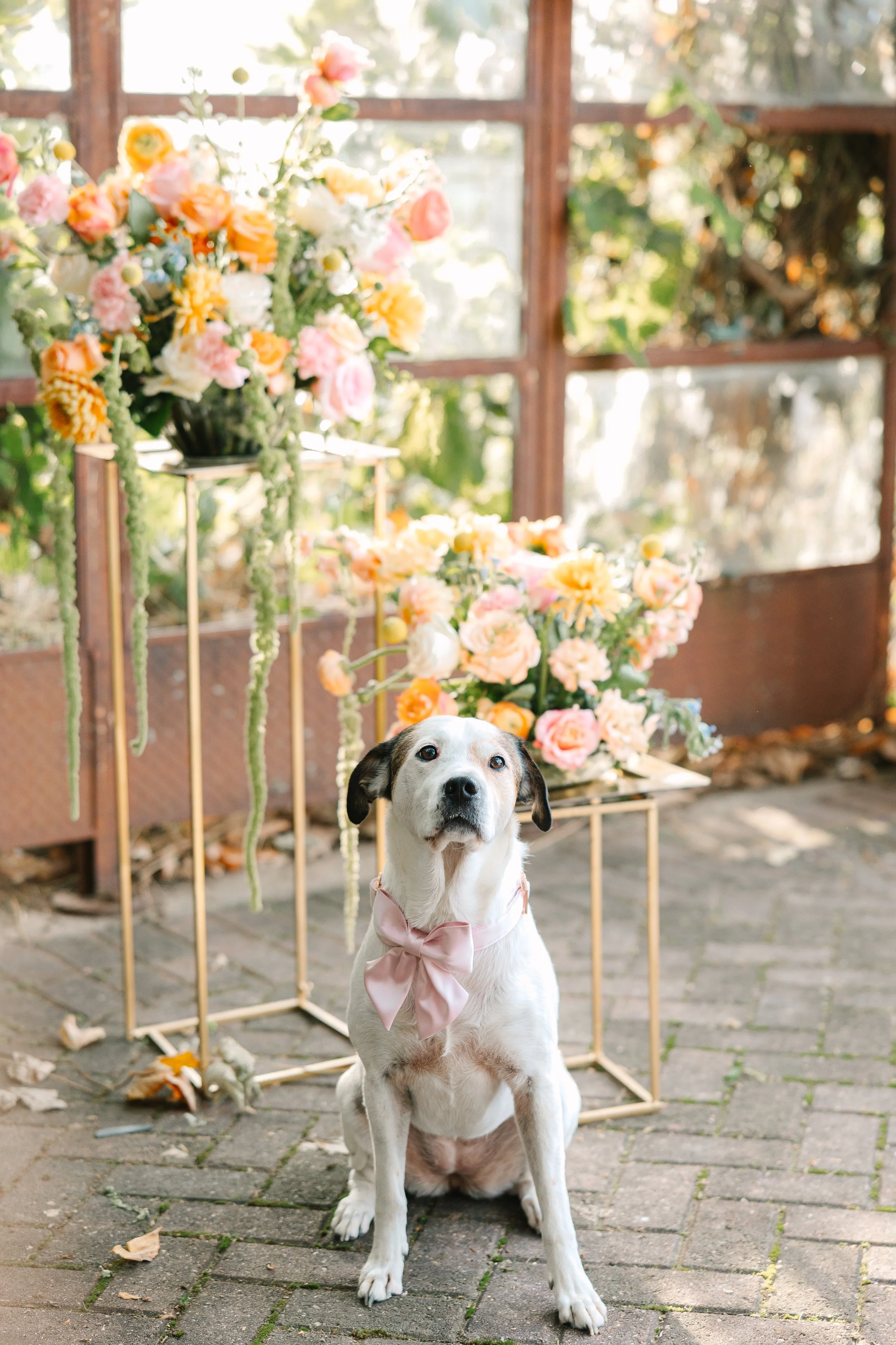 CydWeeksPhotography-TheStandardKnoxville-RileyLovesSarahForever-413.jpg