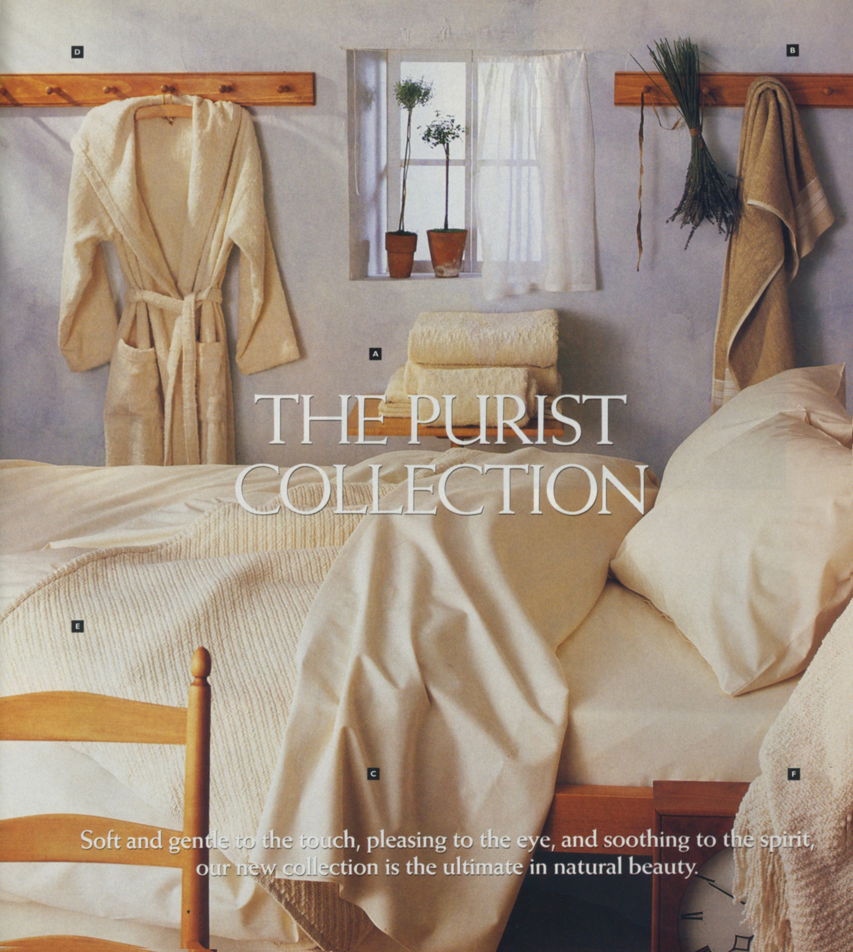 The Purist Collection