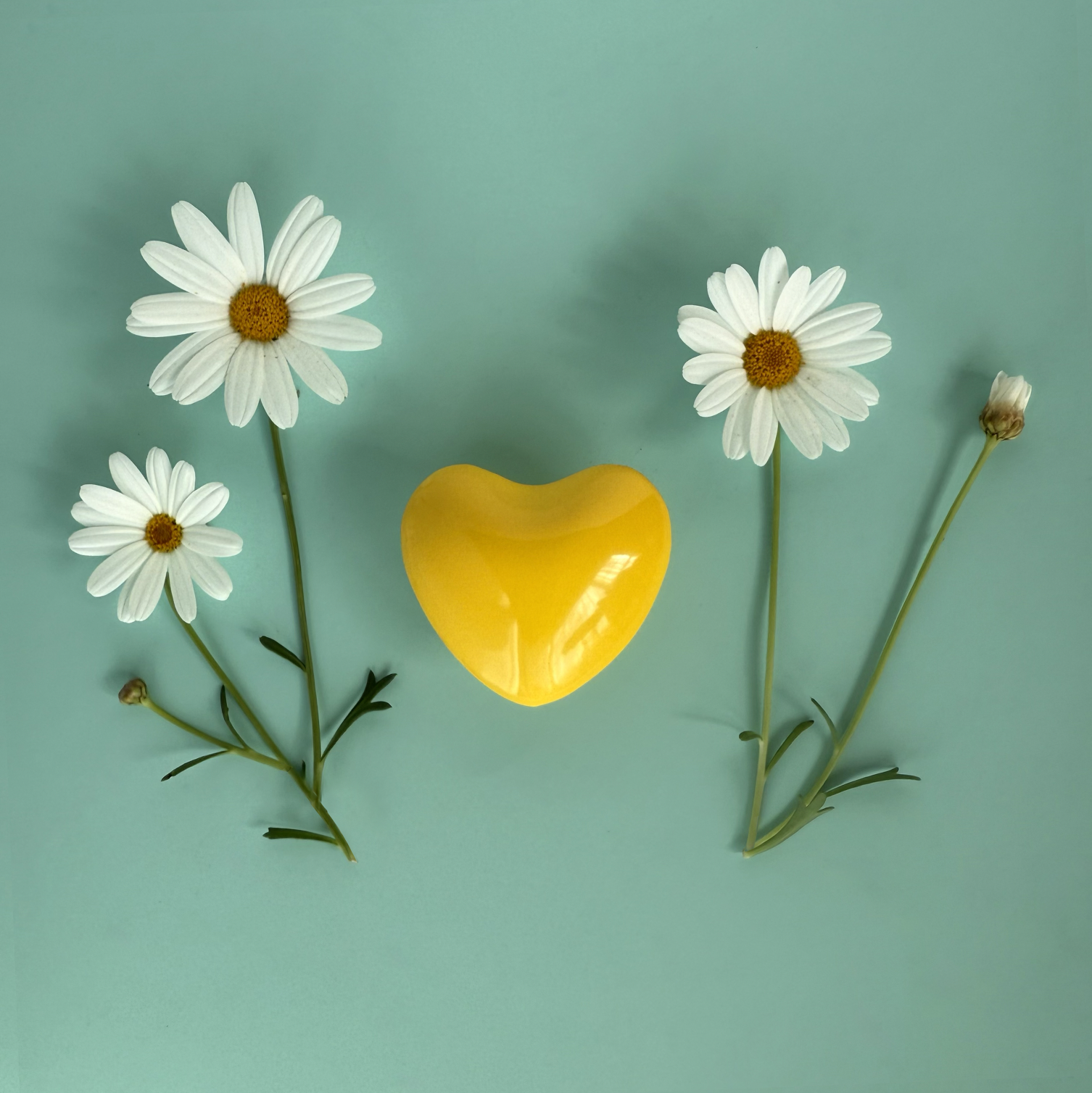 Screenshot 2026-01-14 at 11.13.51 AM 2.PNG