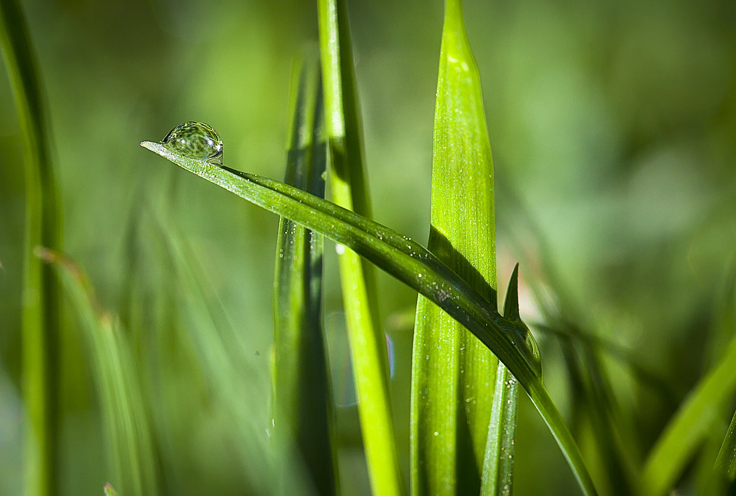 untitled-0999-Edit.jpg