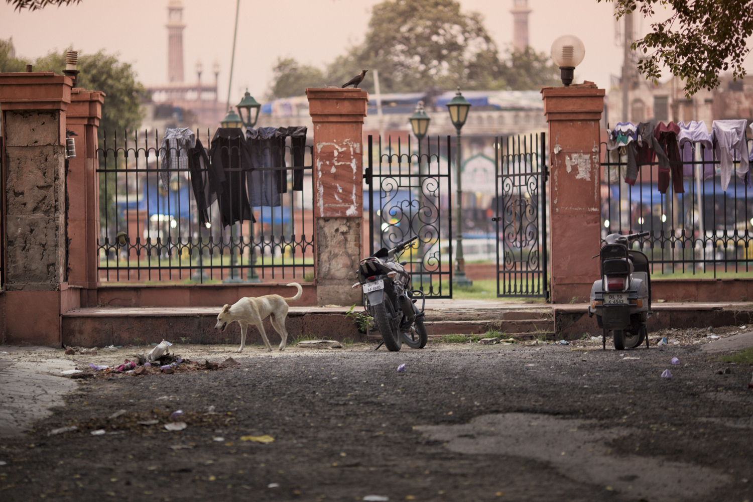  India 