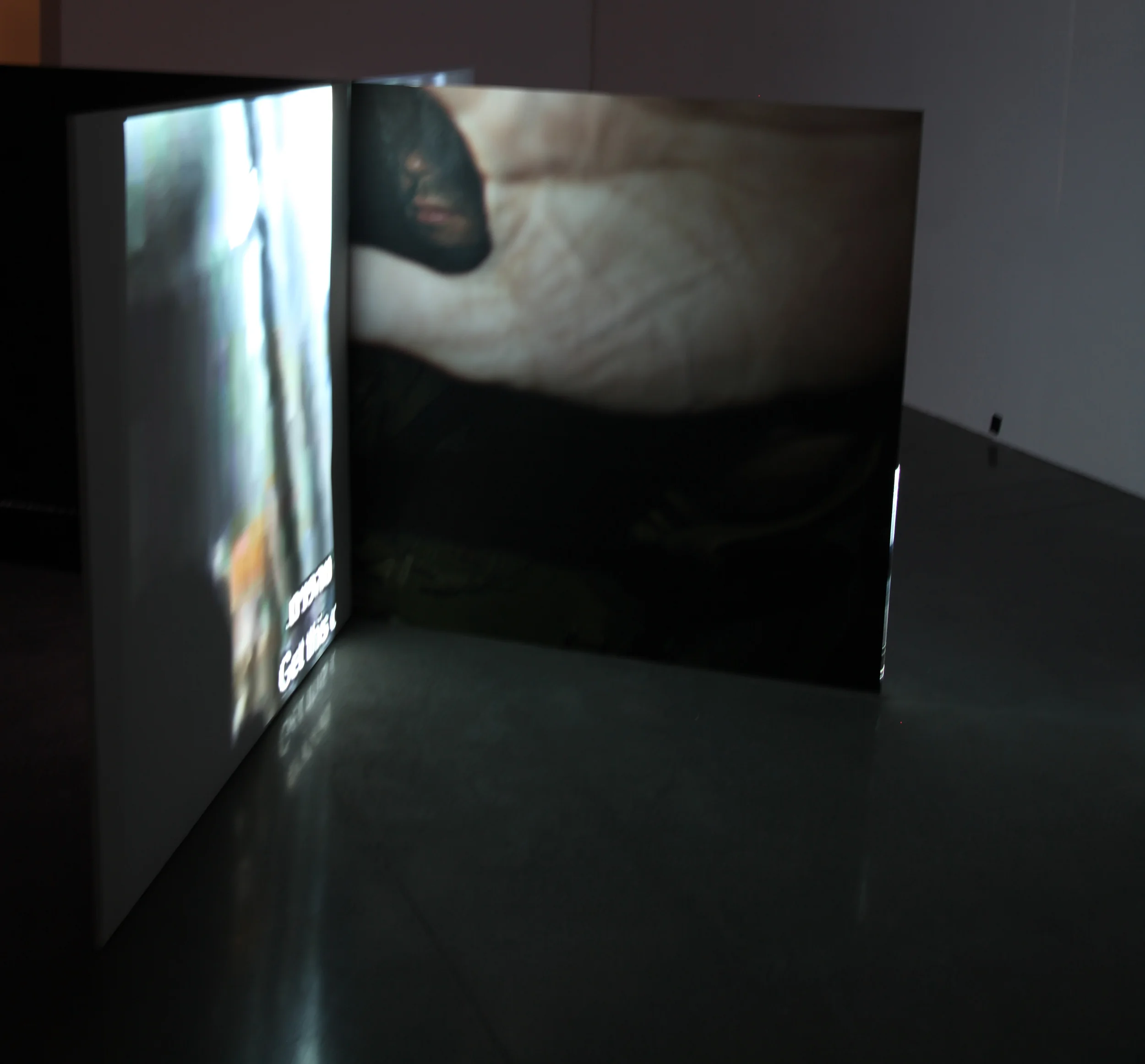 Installation View: New Wight Gallery UCLA 2015