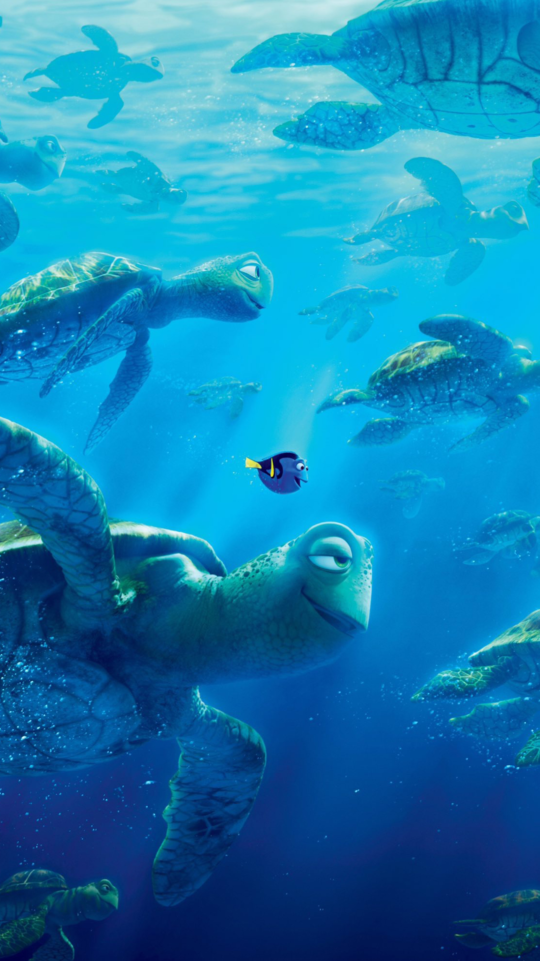 Fan của Finding Dory đâu rồi? Những hình nền đầy màu sắc và hài hước với chú cá khám phá đại dương chắc chắn sẽ khiến bạn tươi cười.
