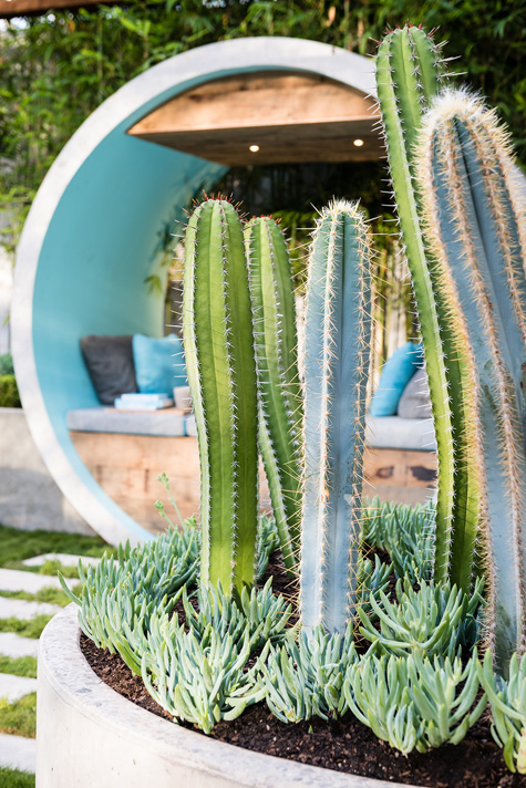 Alison Douglas Design