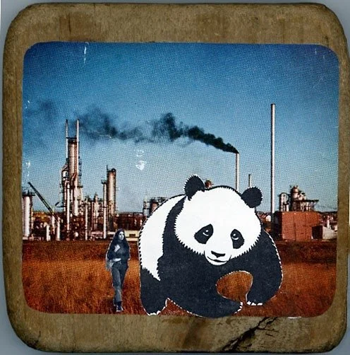 Joan's Panda (Physical Collage - 2008) [SOLD]