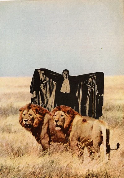 Dracula's Bitches (Physical Collage - 2007) [SOLD]