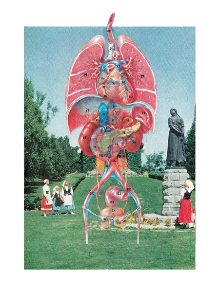 Church Organs (Physical Collage - 2007) [Price: $150]