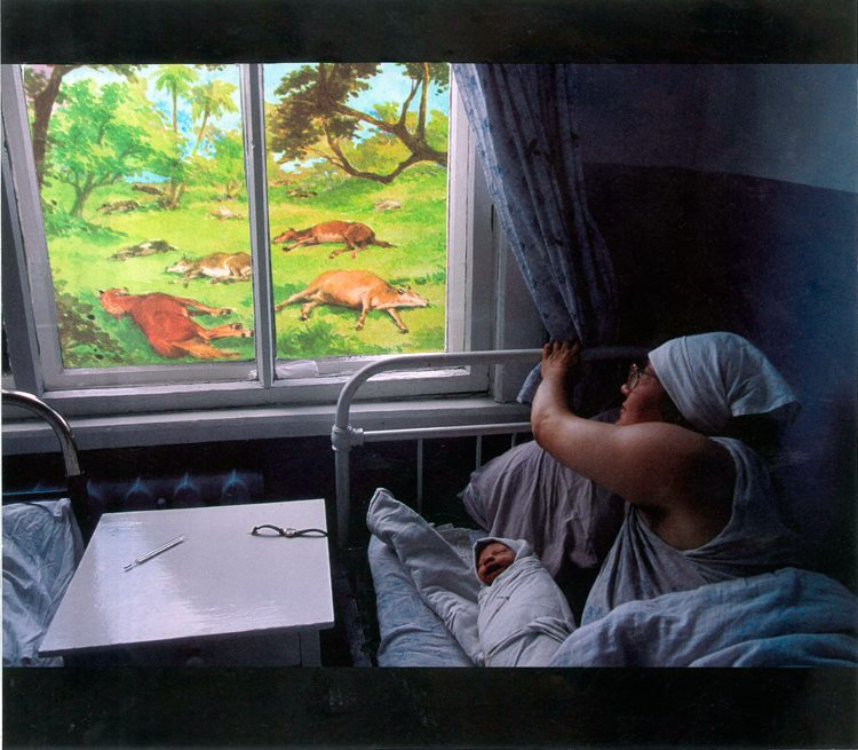 The Plague Amongst The Cattle (Physical Collage - 2014)