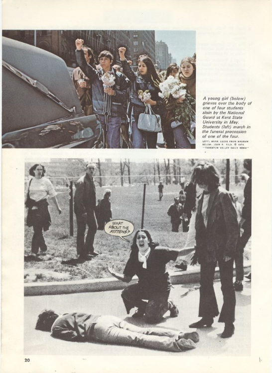 WHat about the KITTENS? (Physical Collage - 2012)