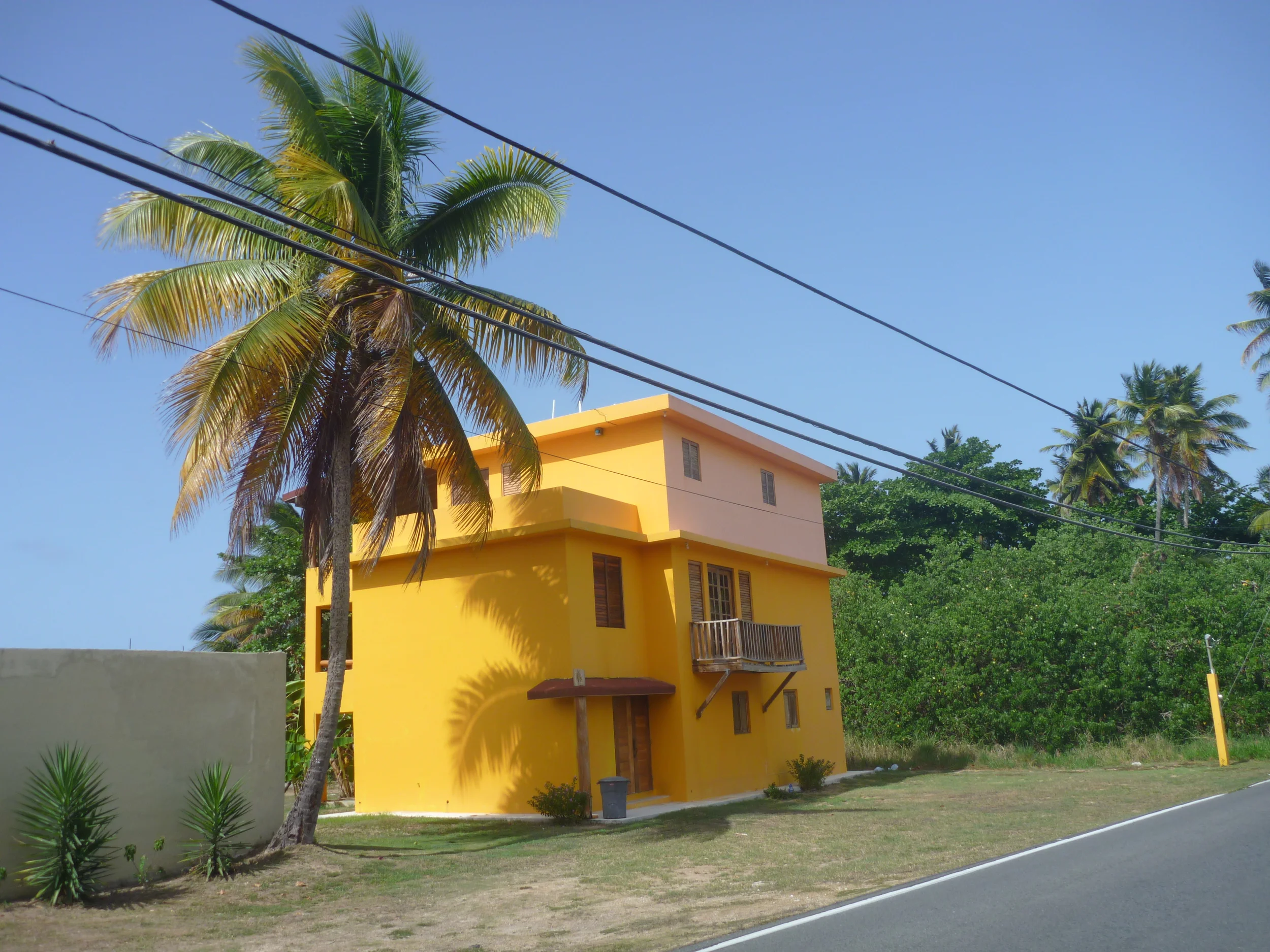 P1010496.JPG