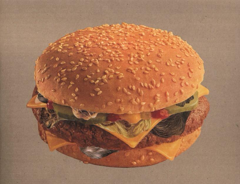 Furburger (Physical Collage - 2015.