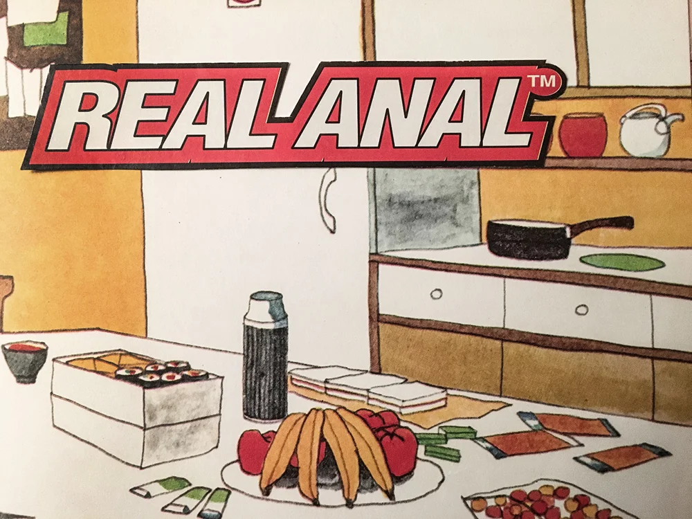 Real Anal: Variation #2 (Analog Collage - 2016)