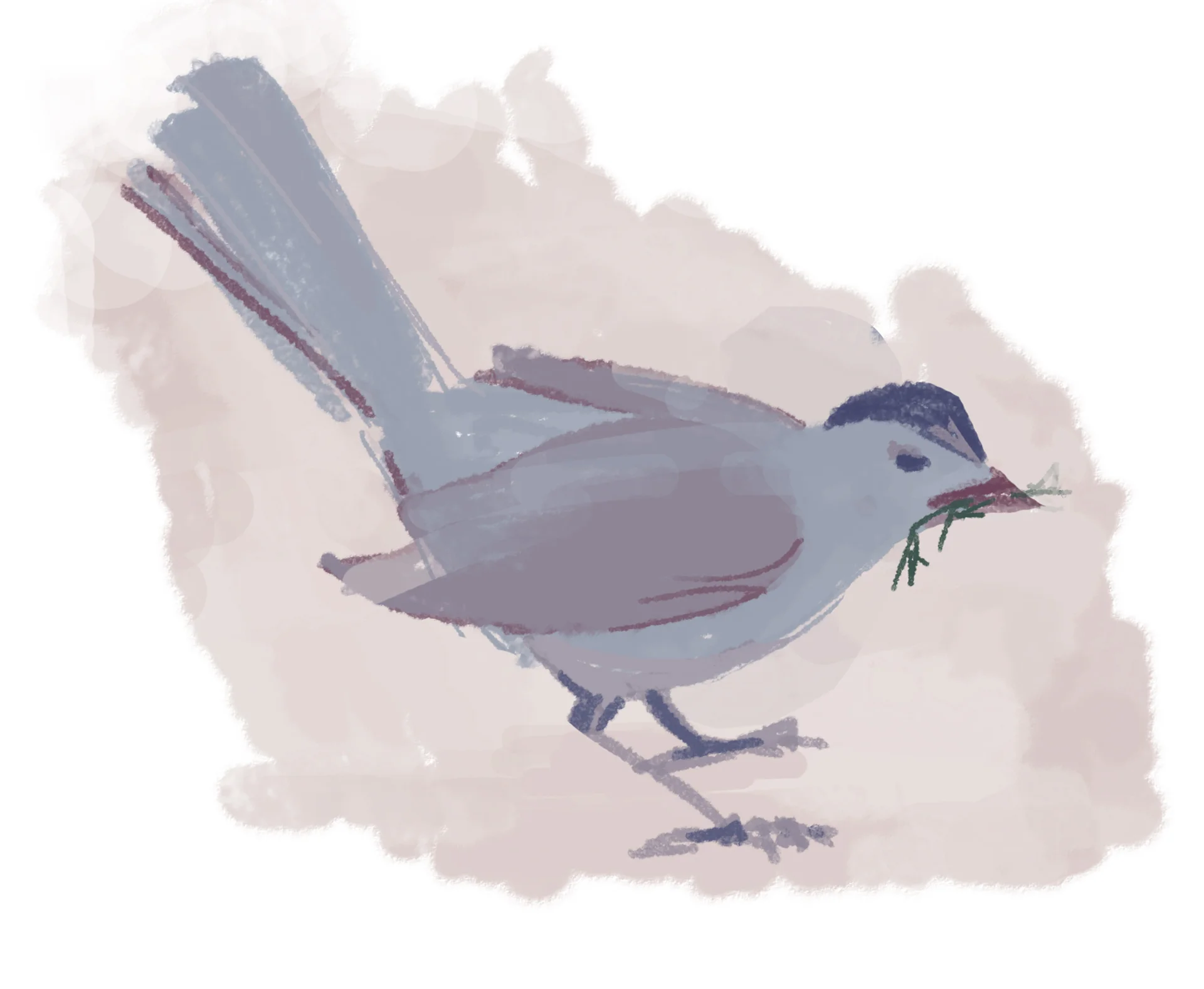 bird.jpg