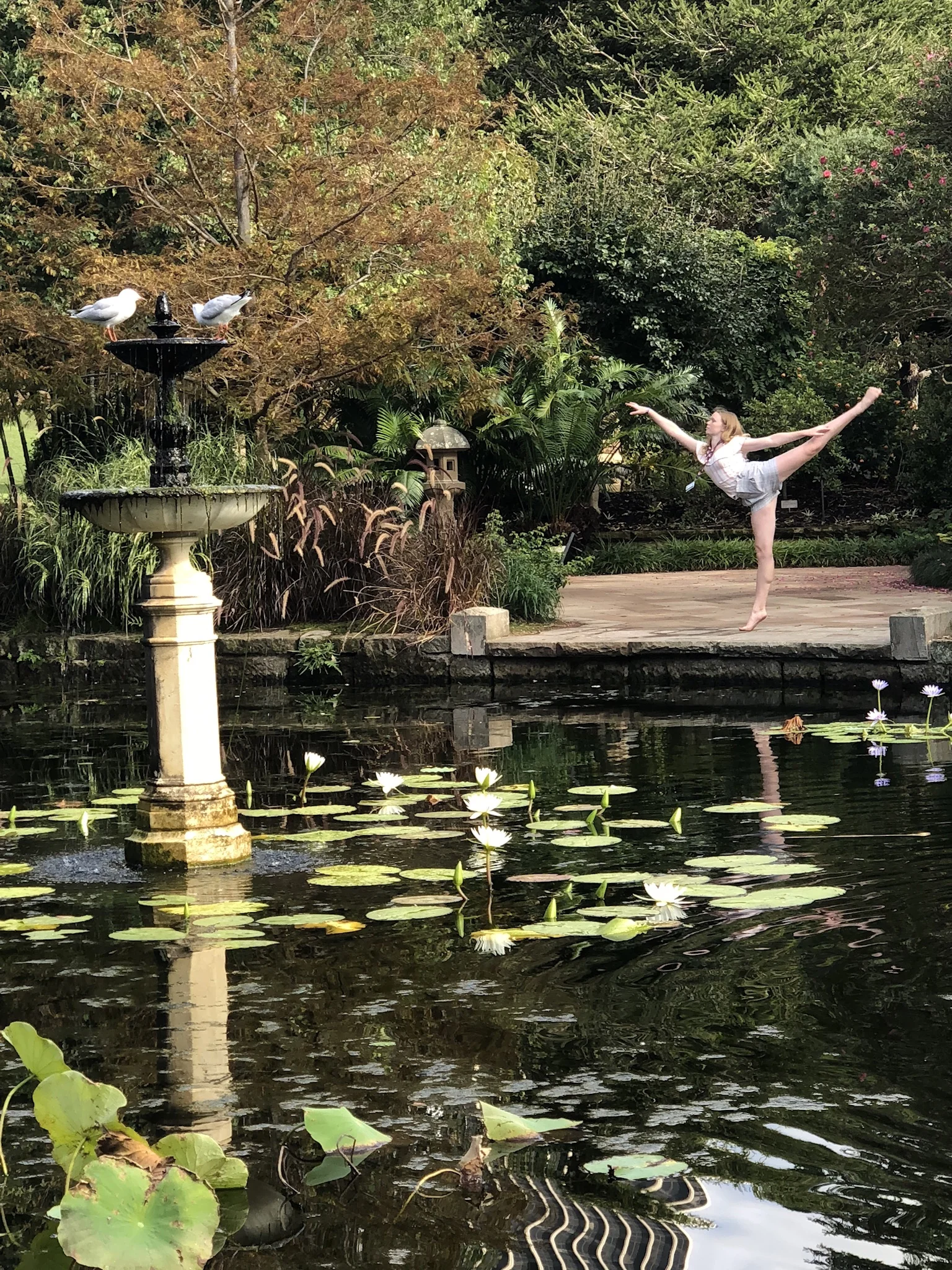 Sydney Boyanical garden