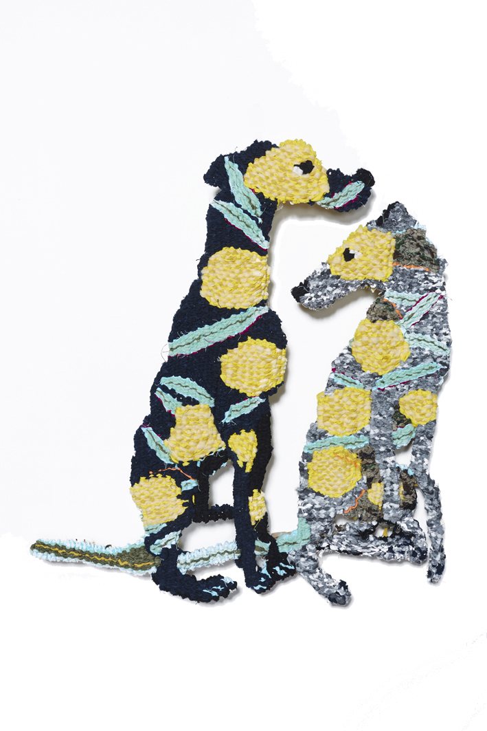 CAPTAIN PHILLIP'S ACCLIMATISATION- GREYHOUND ACACIA DECORA (2015)