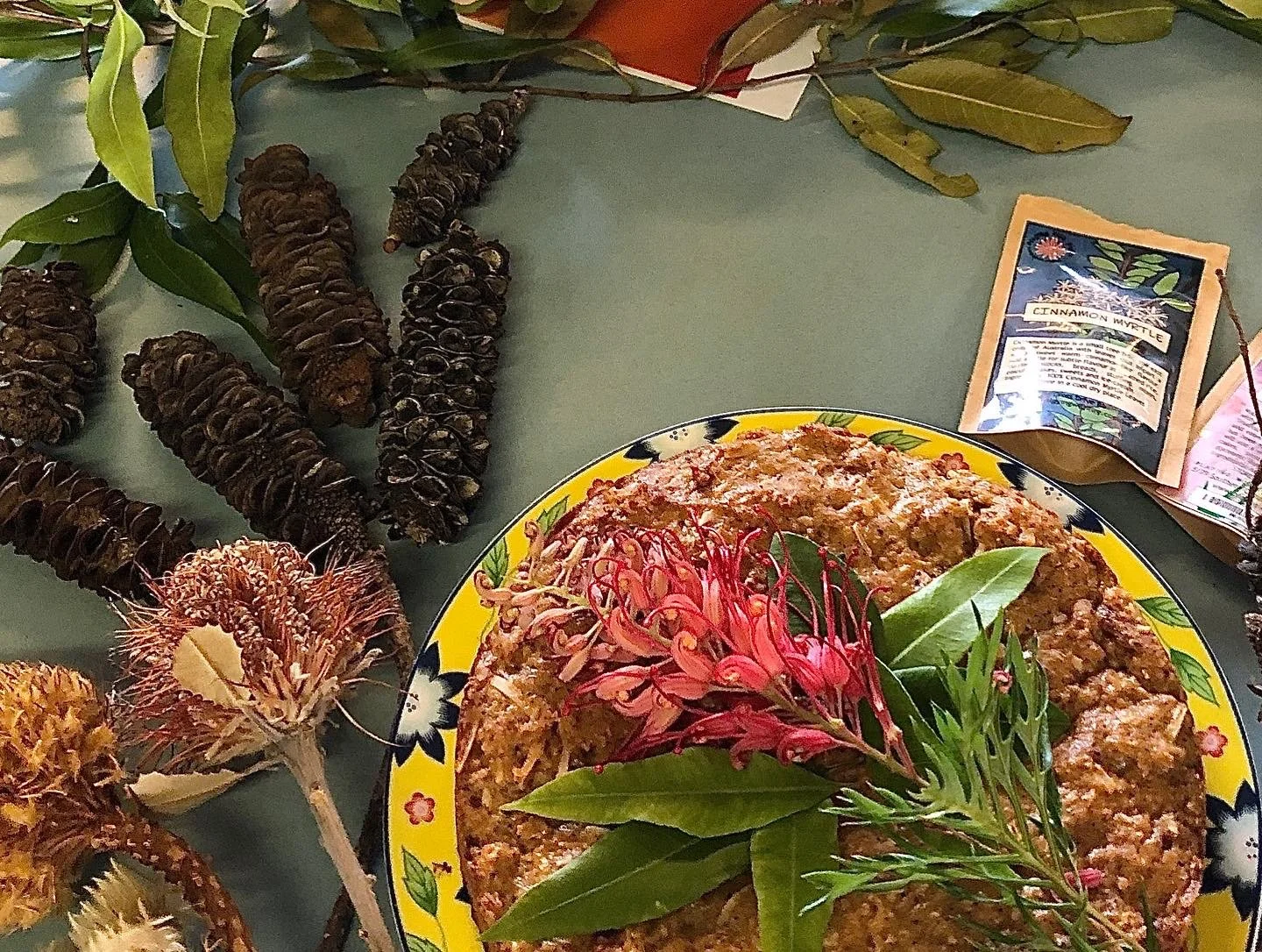 RECIPE: Cinnamon myrtle, wattle seed, coconut yoghurt slice (2021)
