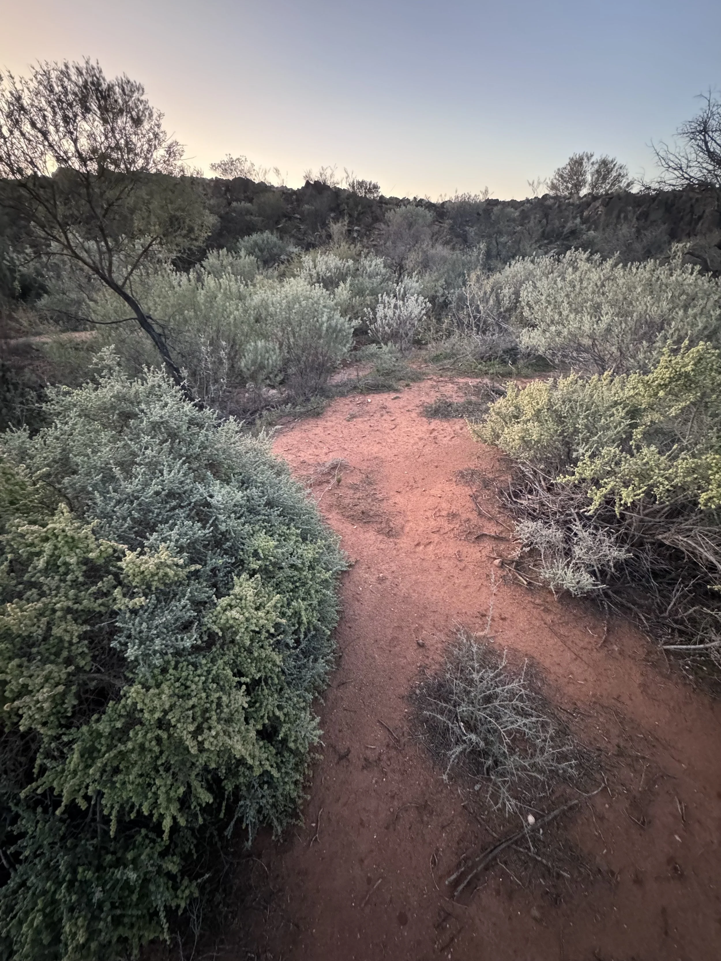 Landscape-Broken Hill- Charlotte Haywood.jpg