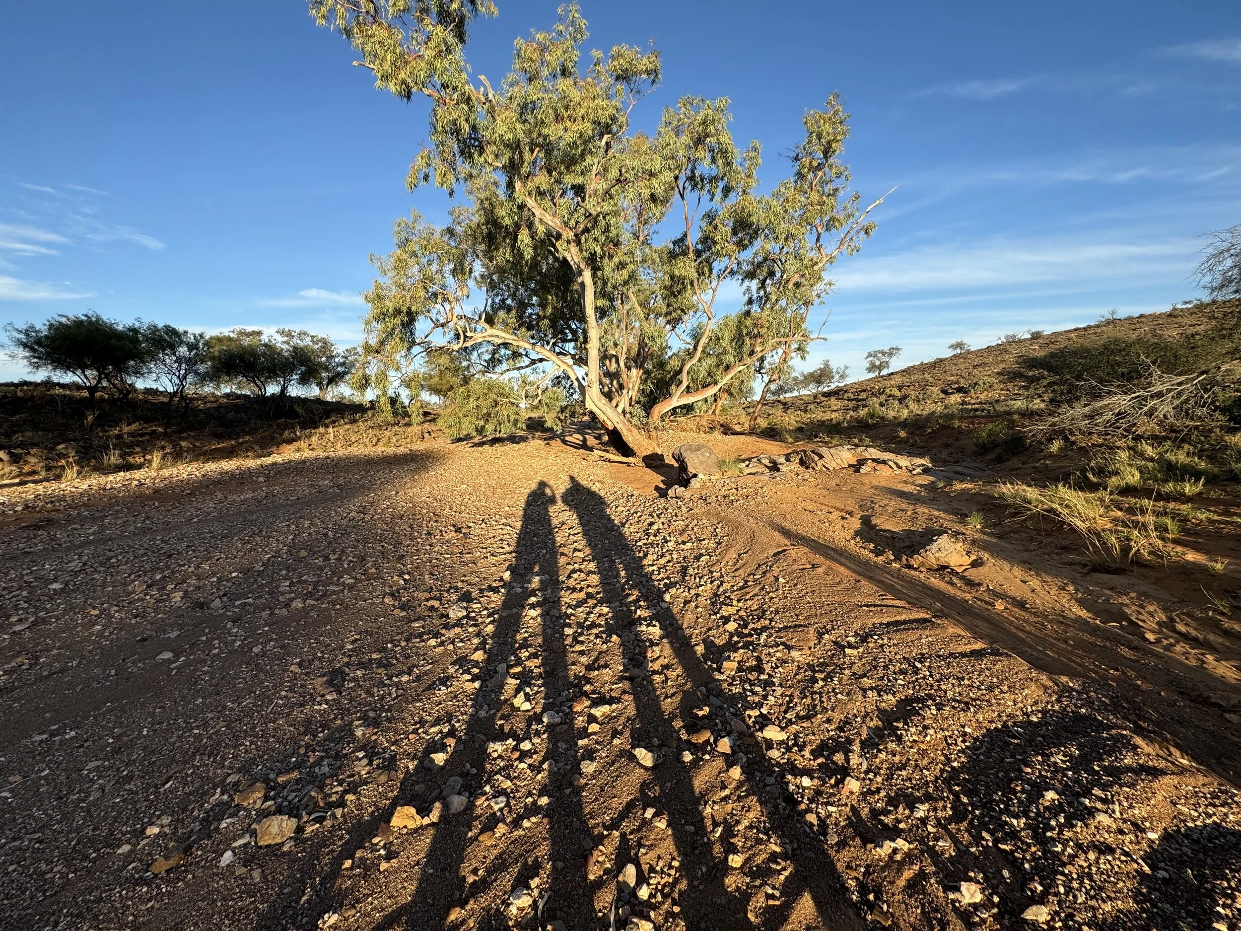 Dry creek beds