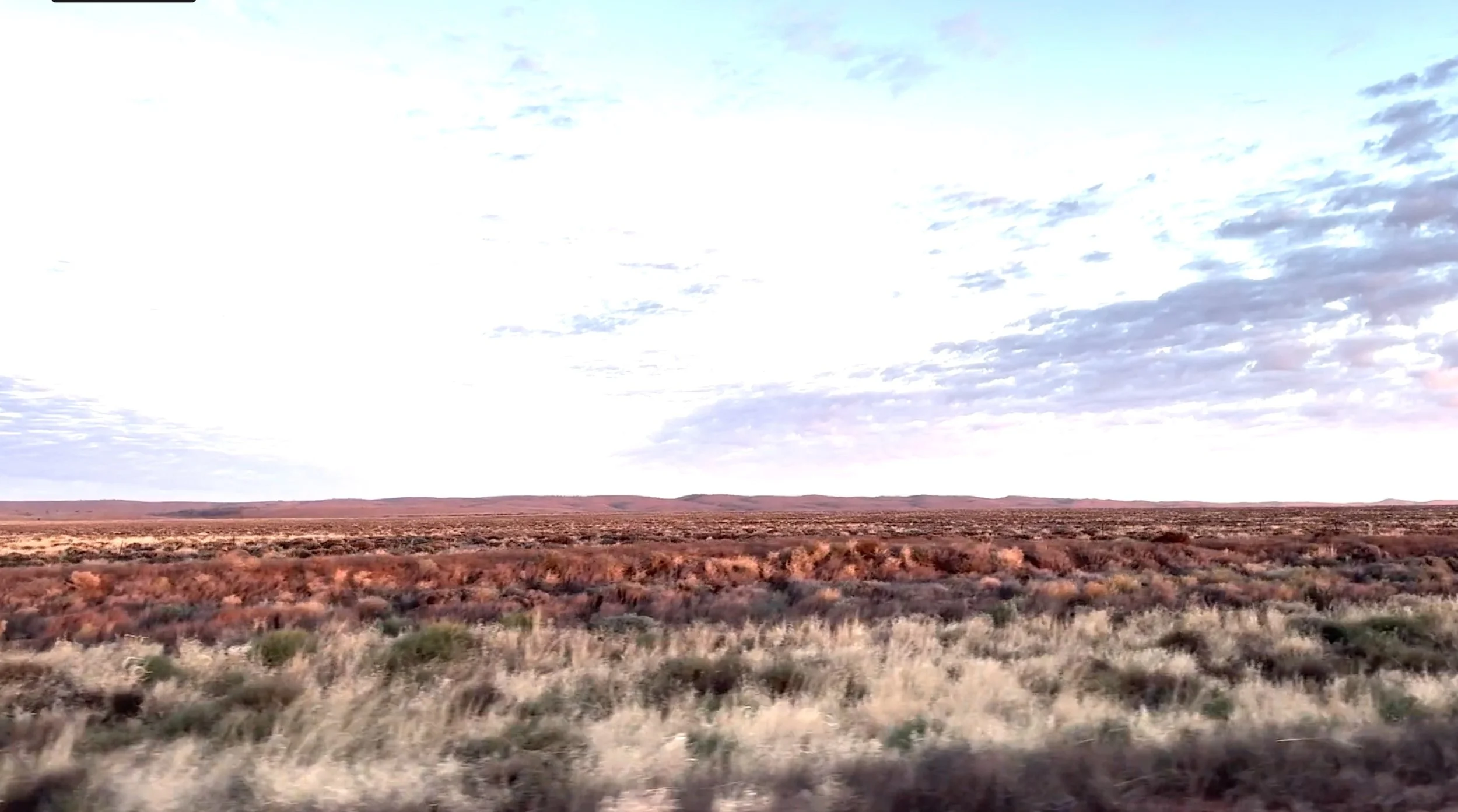 Video Still- Wilyakali Country- Billy goat.jpg