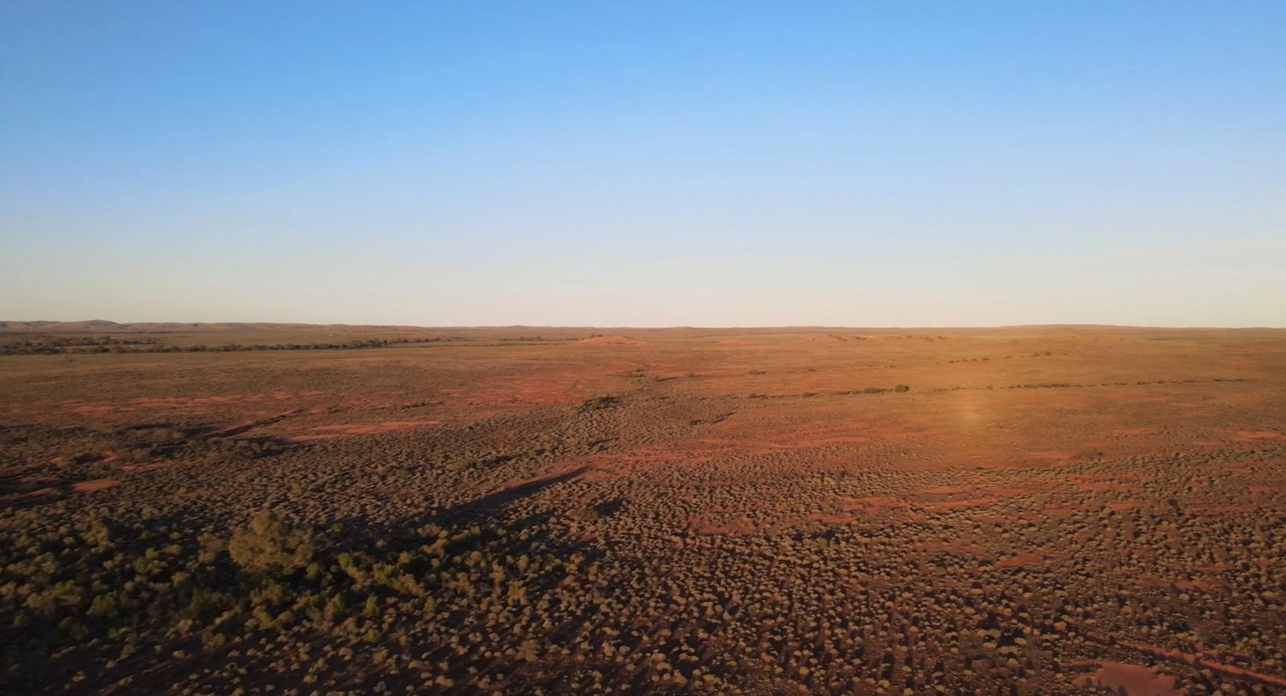 Video Still- Wilyakali Country.jpg