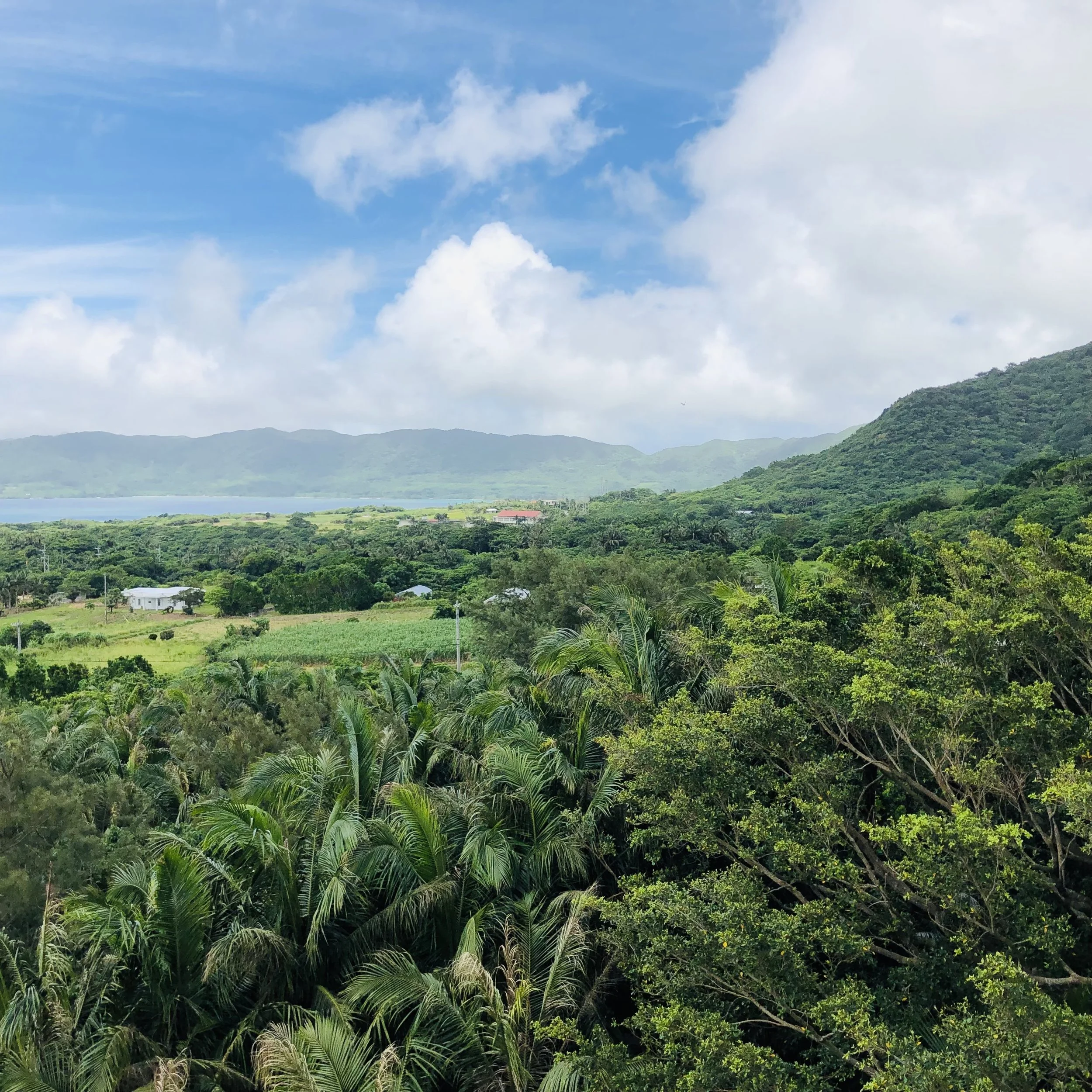 ISHIGAKI ISLAND