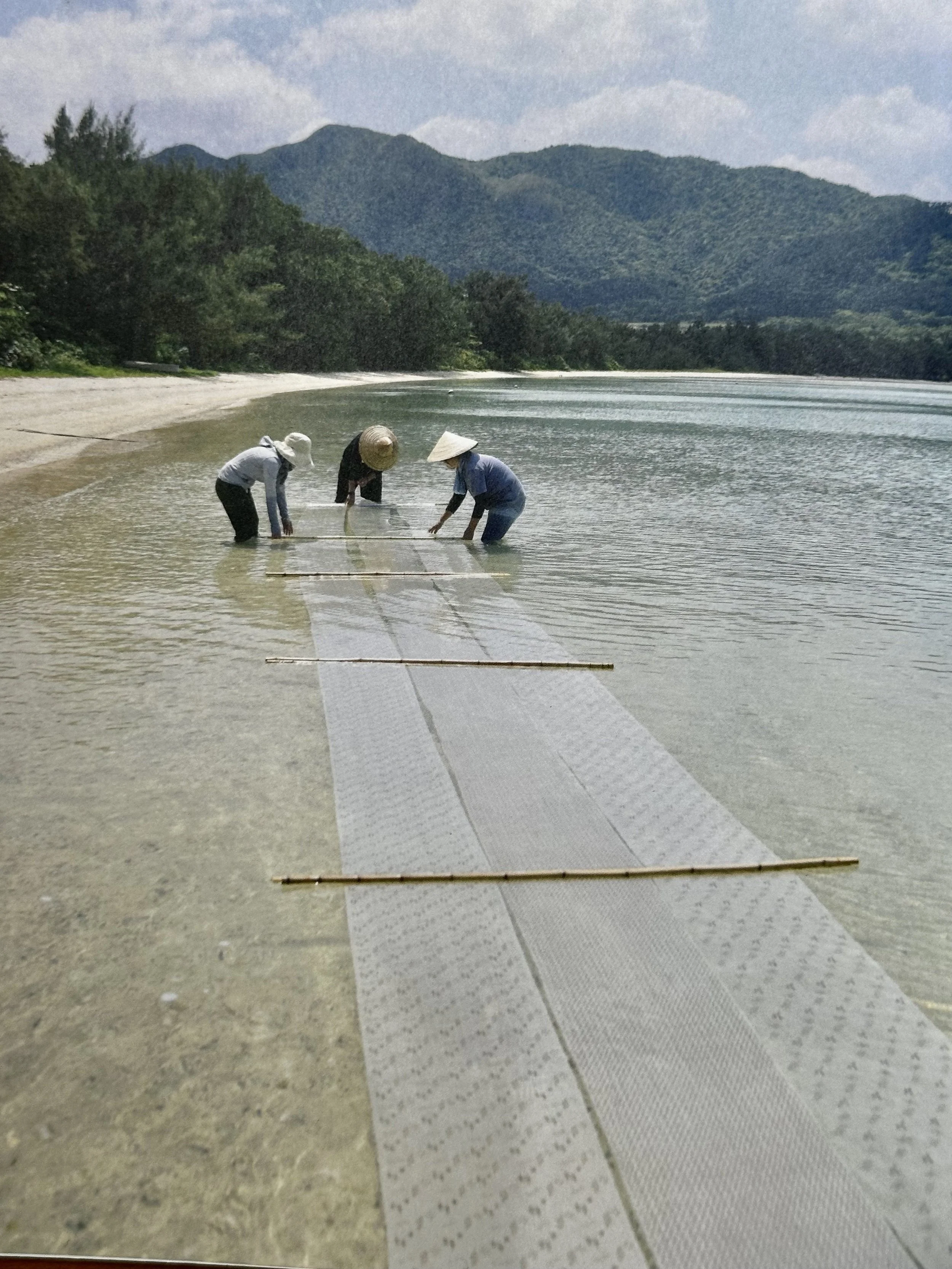  Jofu is created from the far south of Japan on Ishigaki Island to the far North. &nbsp; Although, I did not personally witness it, one particularly element that is phenomenal in the final process of creating the textile is to use a technique called 