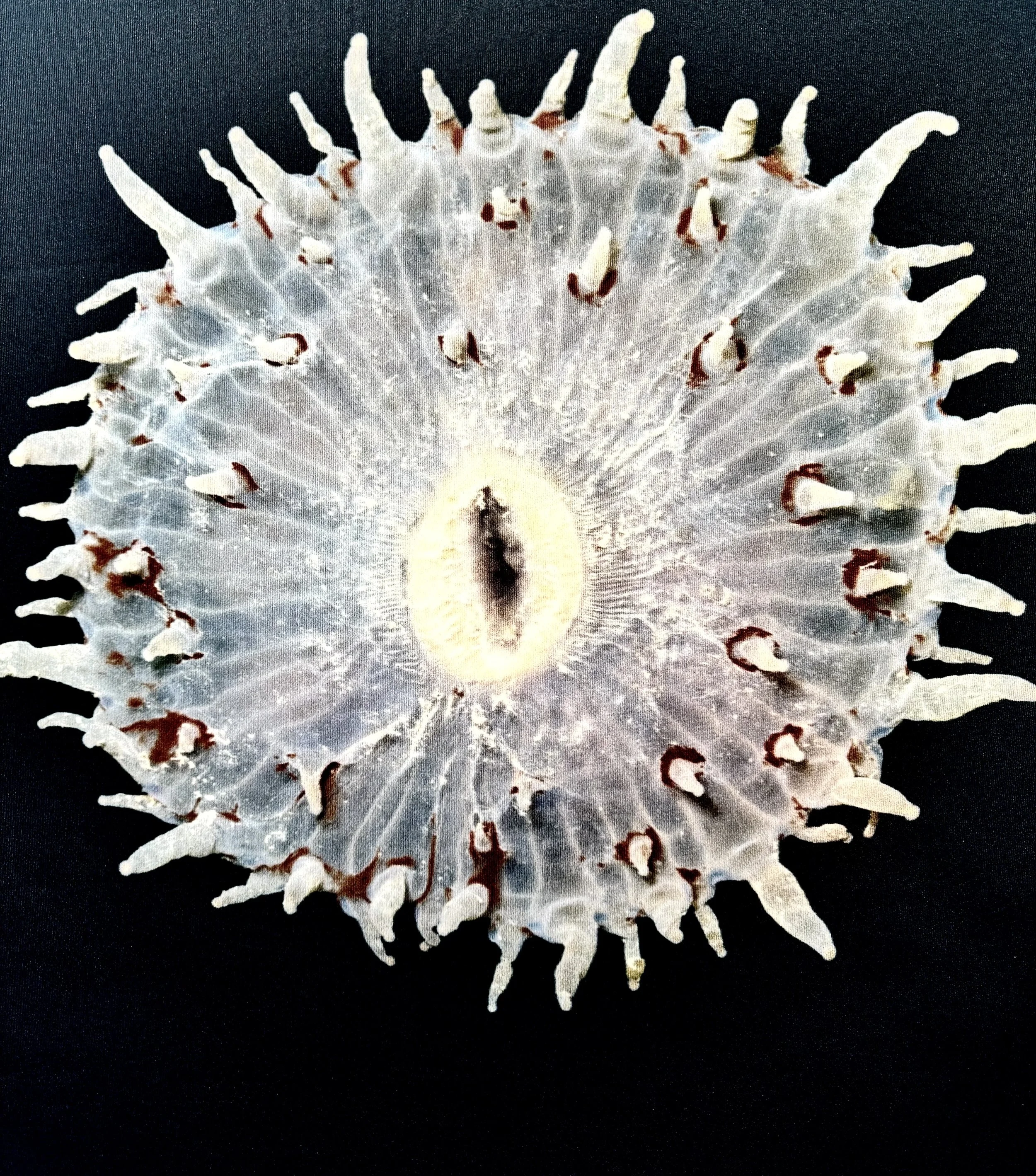 CSIRO -Australian Microbiome Project-2.jpg