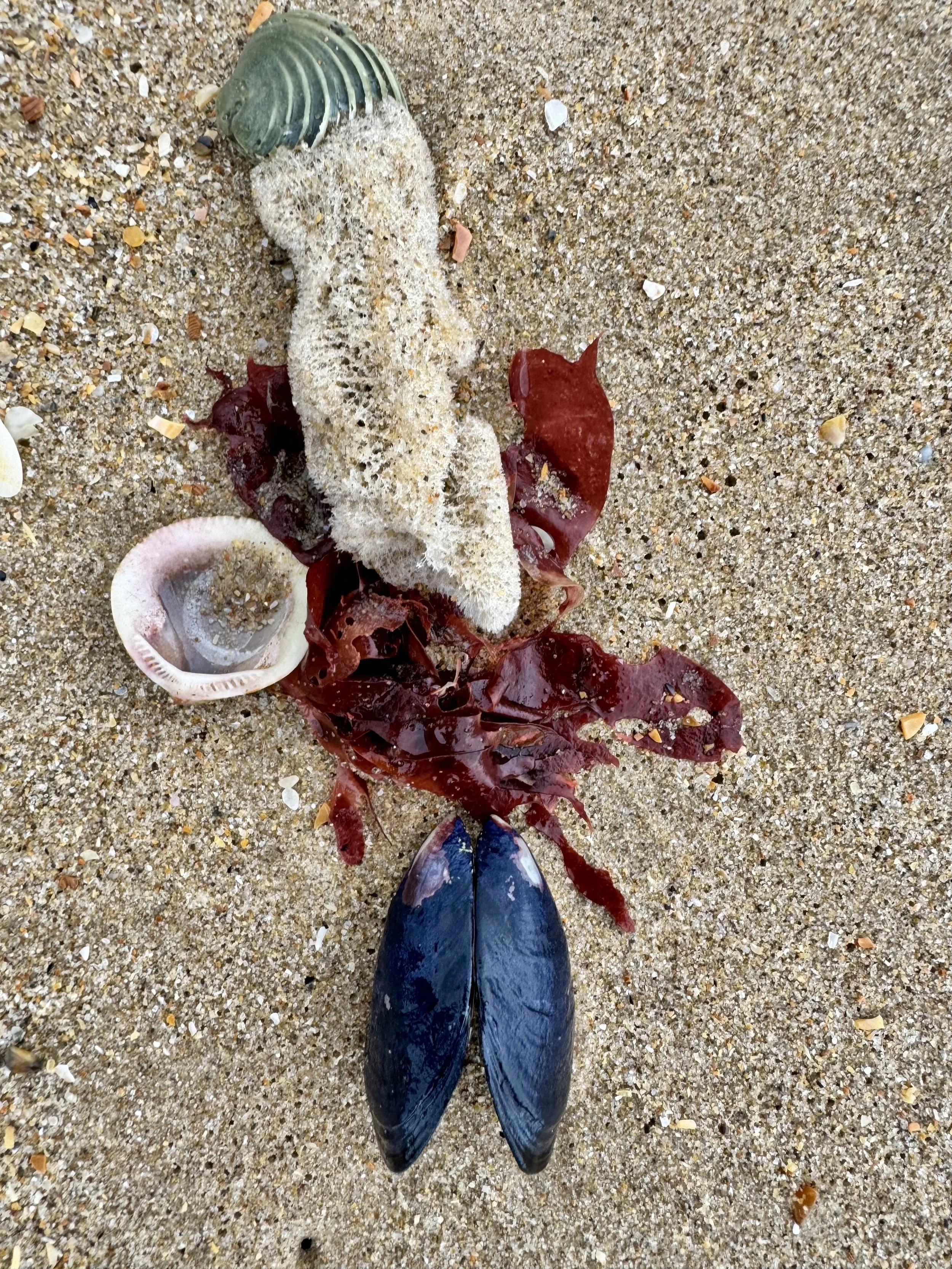 WAVING  IN UNISON://R+D:// 