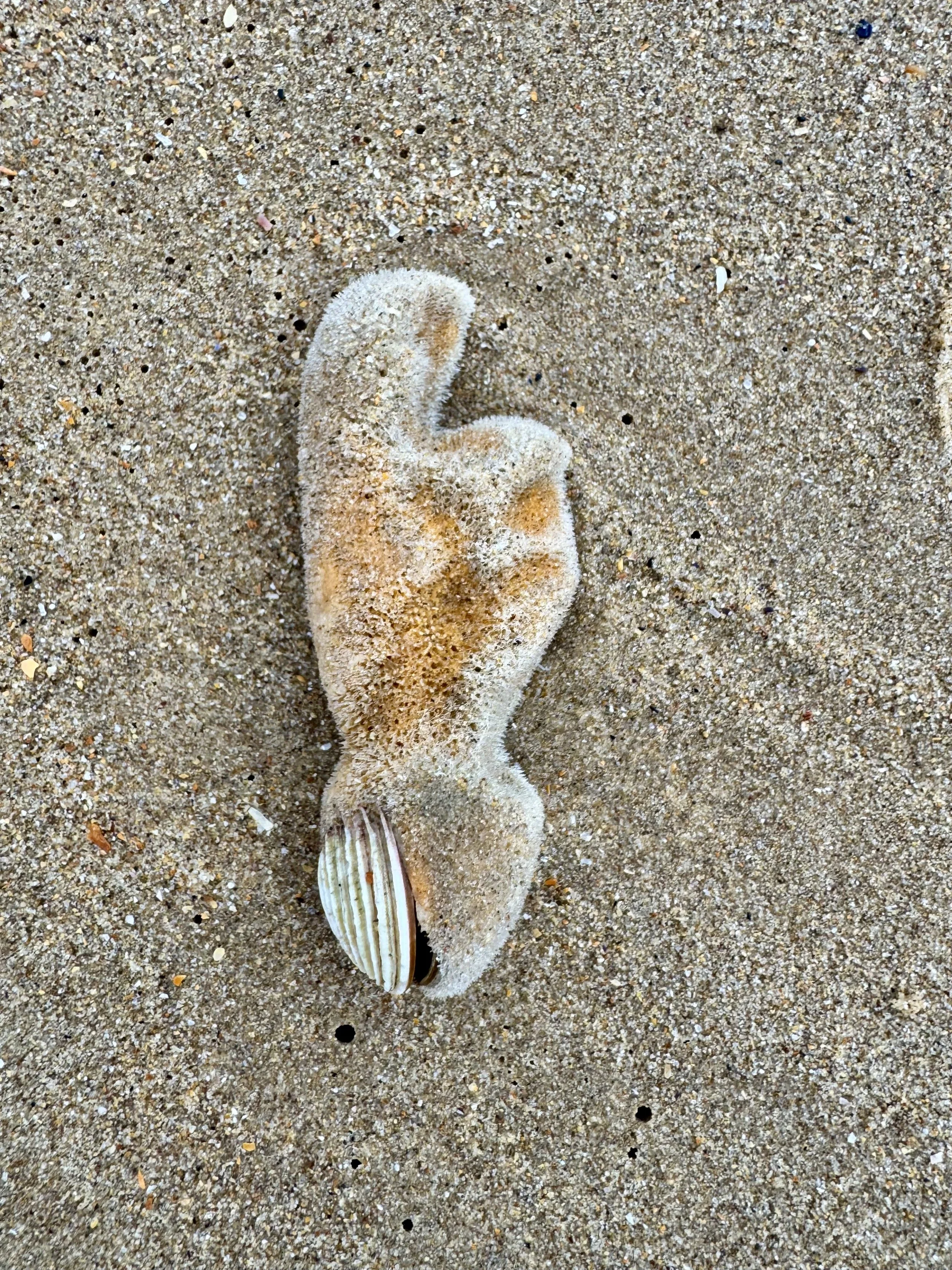 Waving in Unison-3.jpg