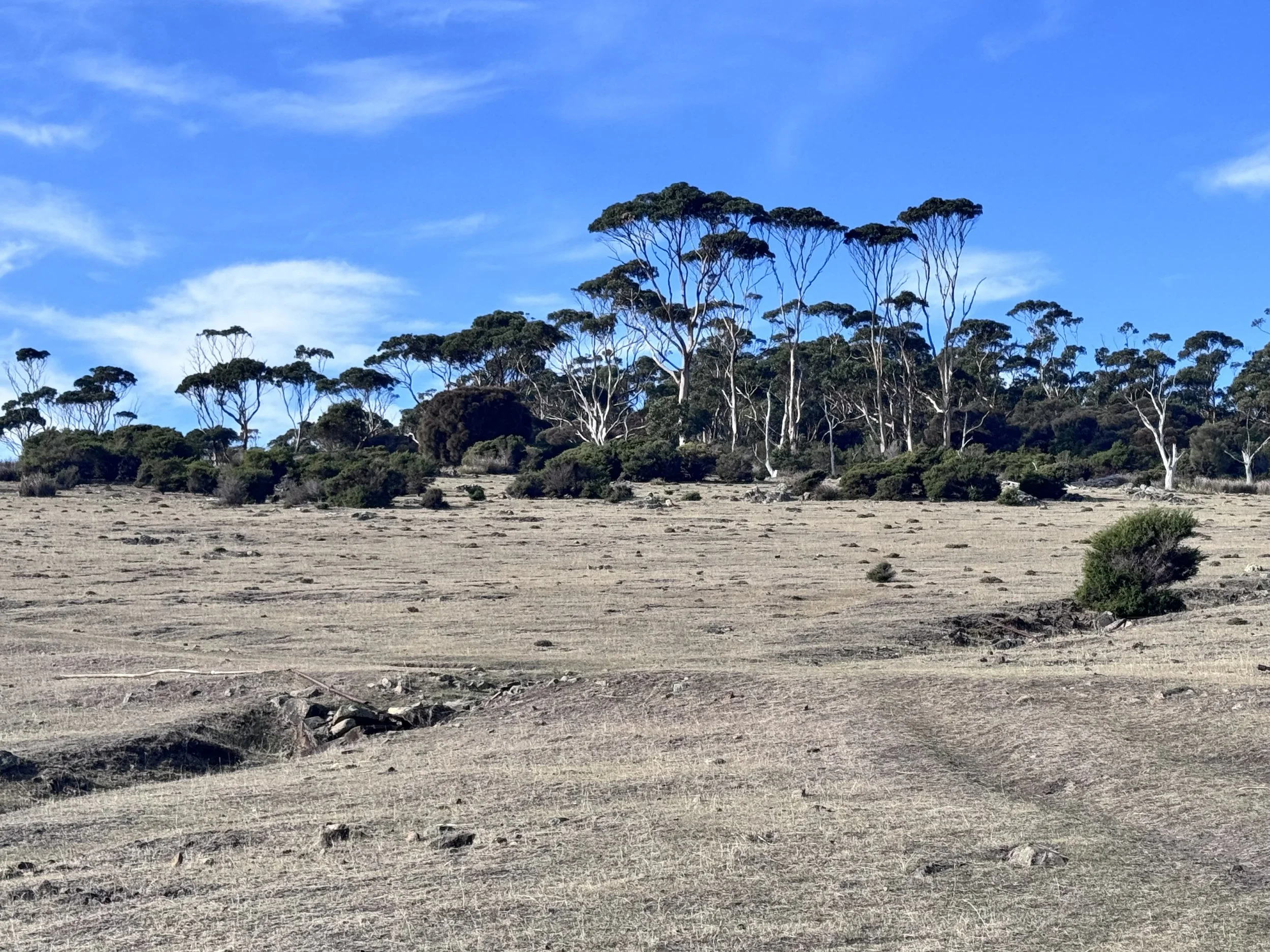 MARIA ISLAND-Research station.jpg