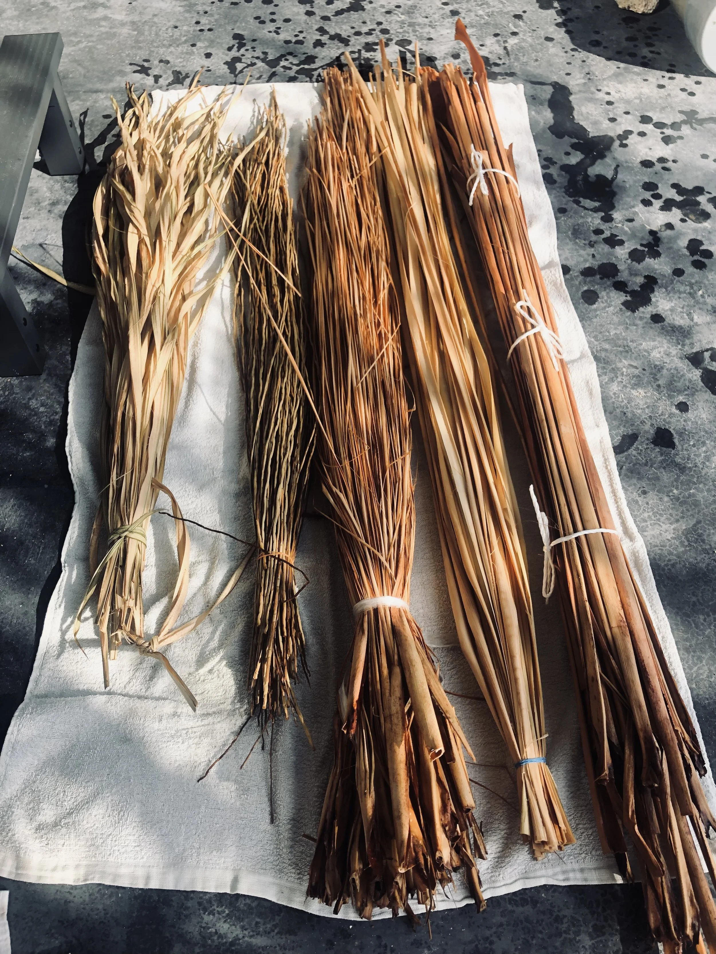 Plant Fibres- Ishigaki- Image Charlotte Haywood.jpeg