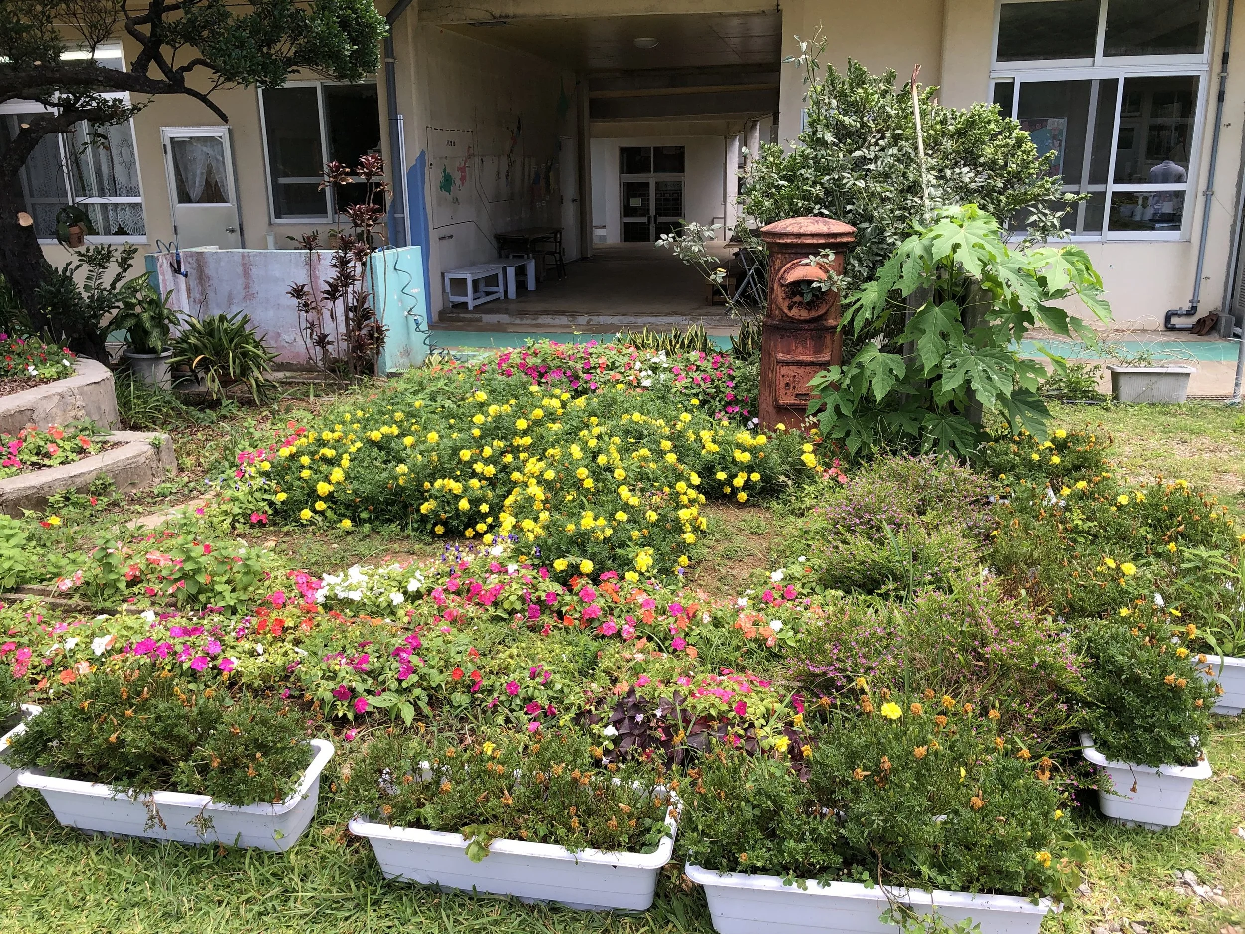 Aikashi Elementary school
