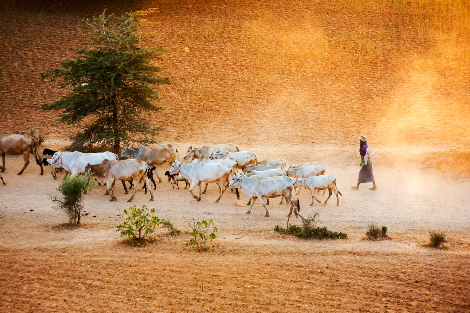  Bagan, Burma 