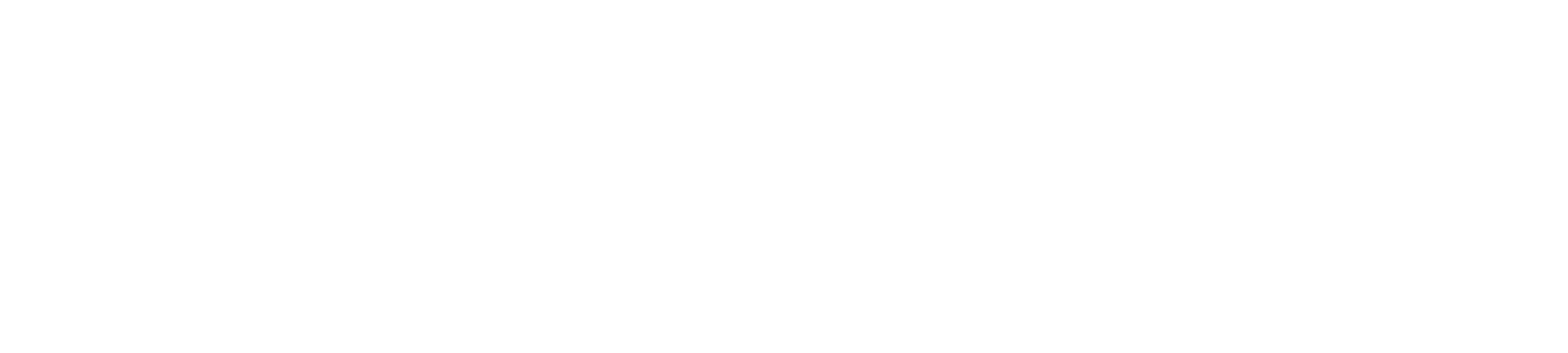 YOUTH ALIVE LOGO - WHITE.png