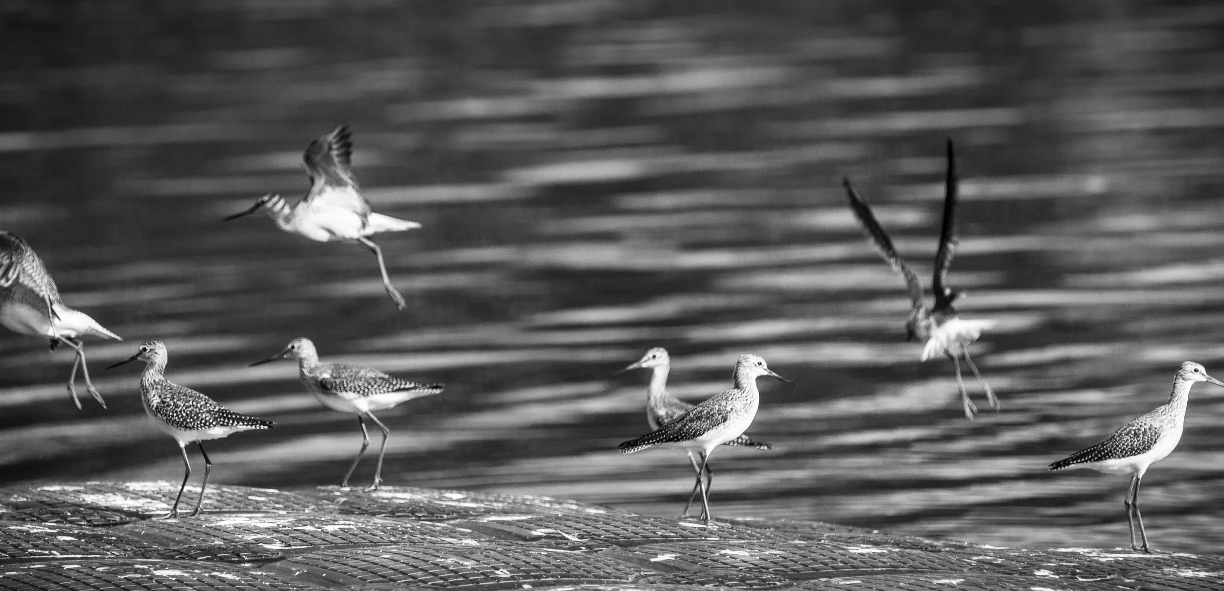 _MG_4584.jpg