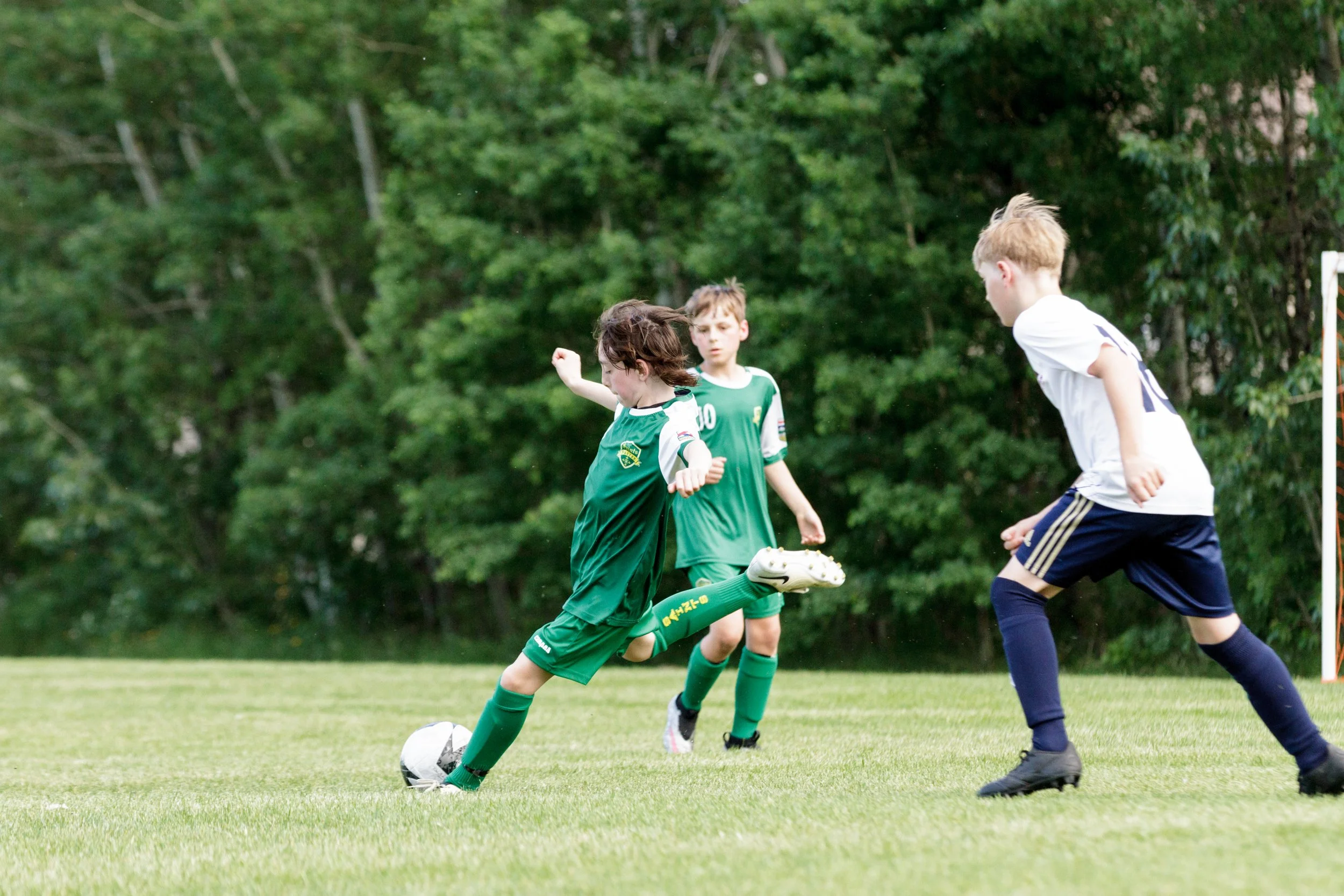 _MG_1010-17 copy.jpg