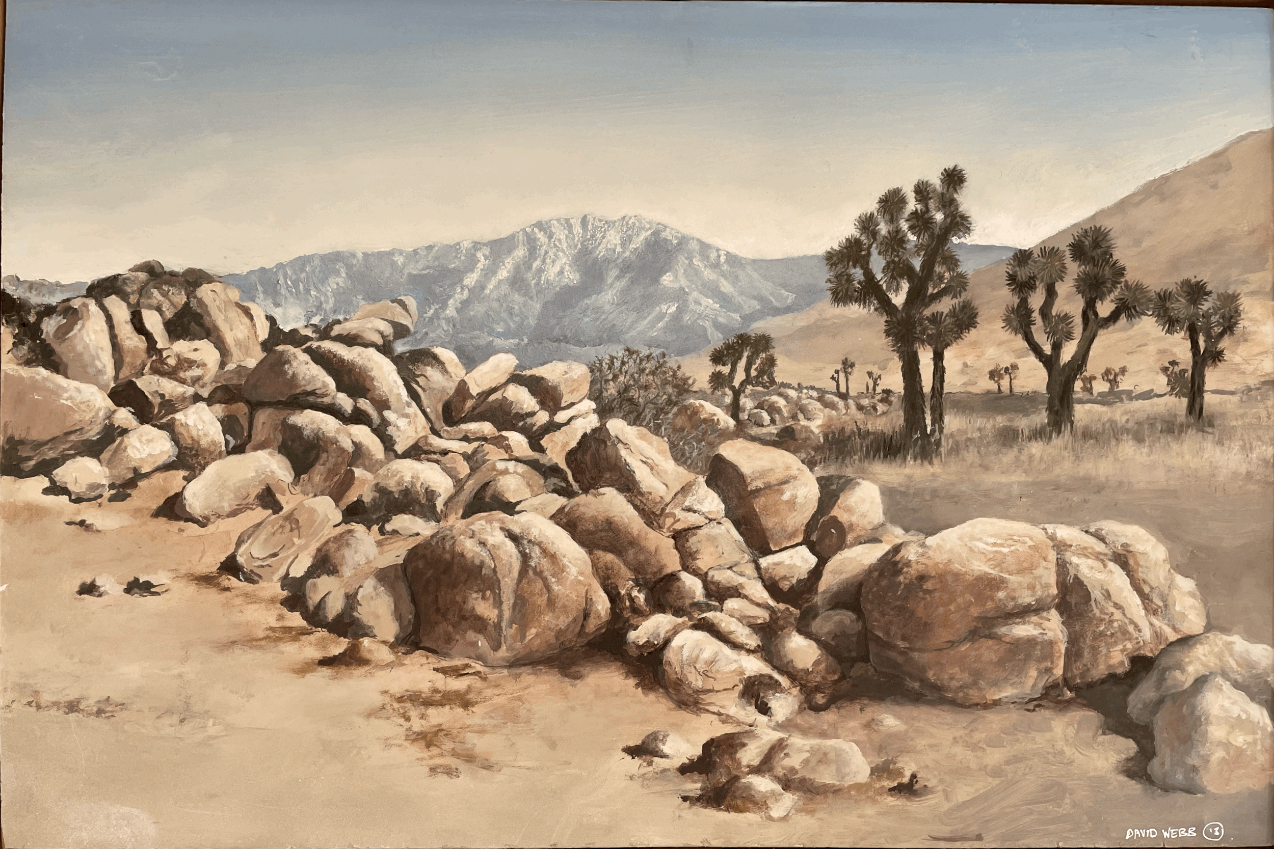 Mt San Jacinto from the high desert.