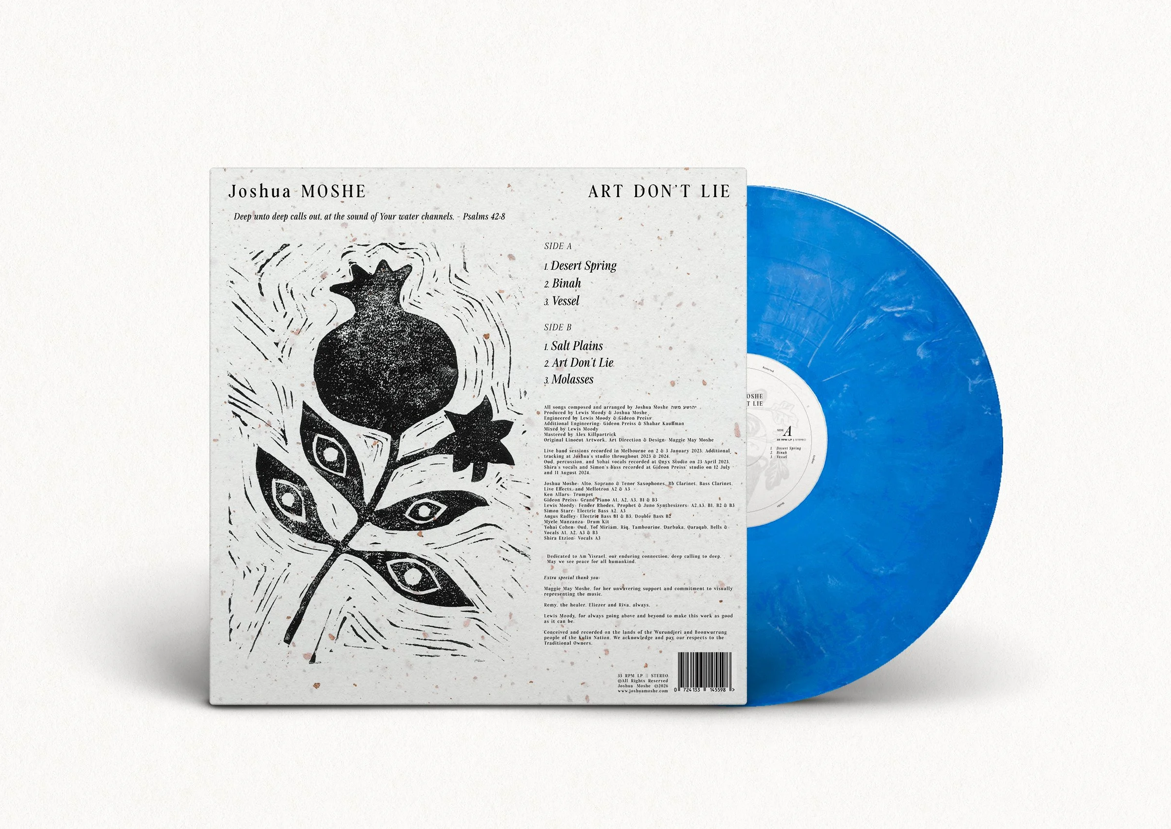 Art Don't Lie - Vinyl Mock Up Rear.jpg