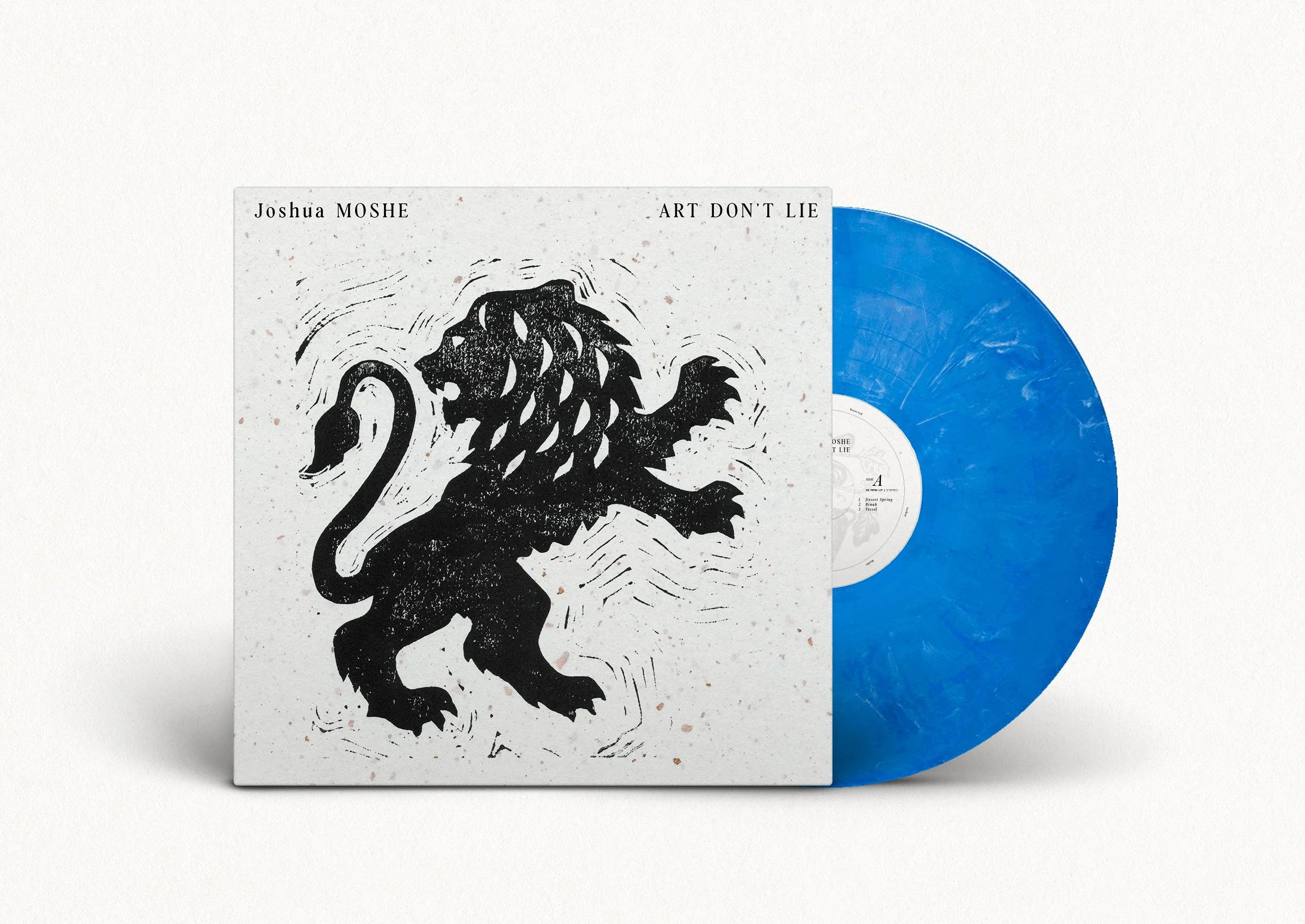 Art Don't Lie - Vinyl Mock Up.jpg
