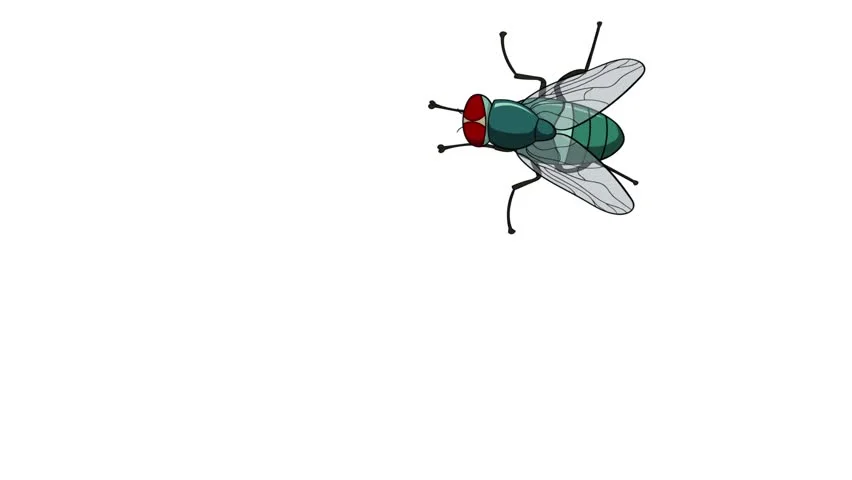 #137 – Fly (Audio Book) (Re-Release)