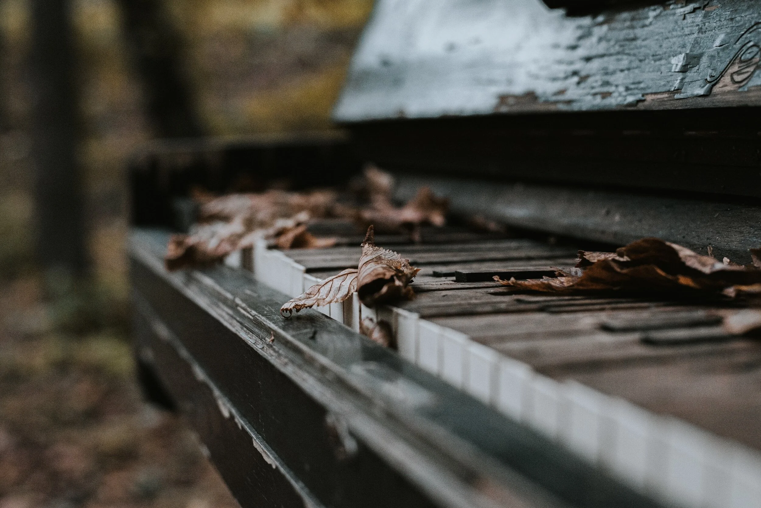 Don't Let your Song Die